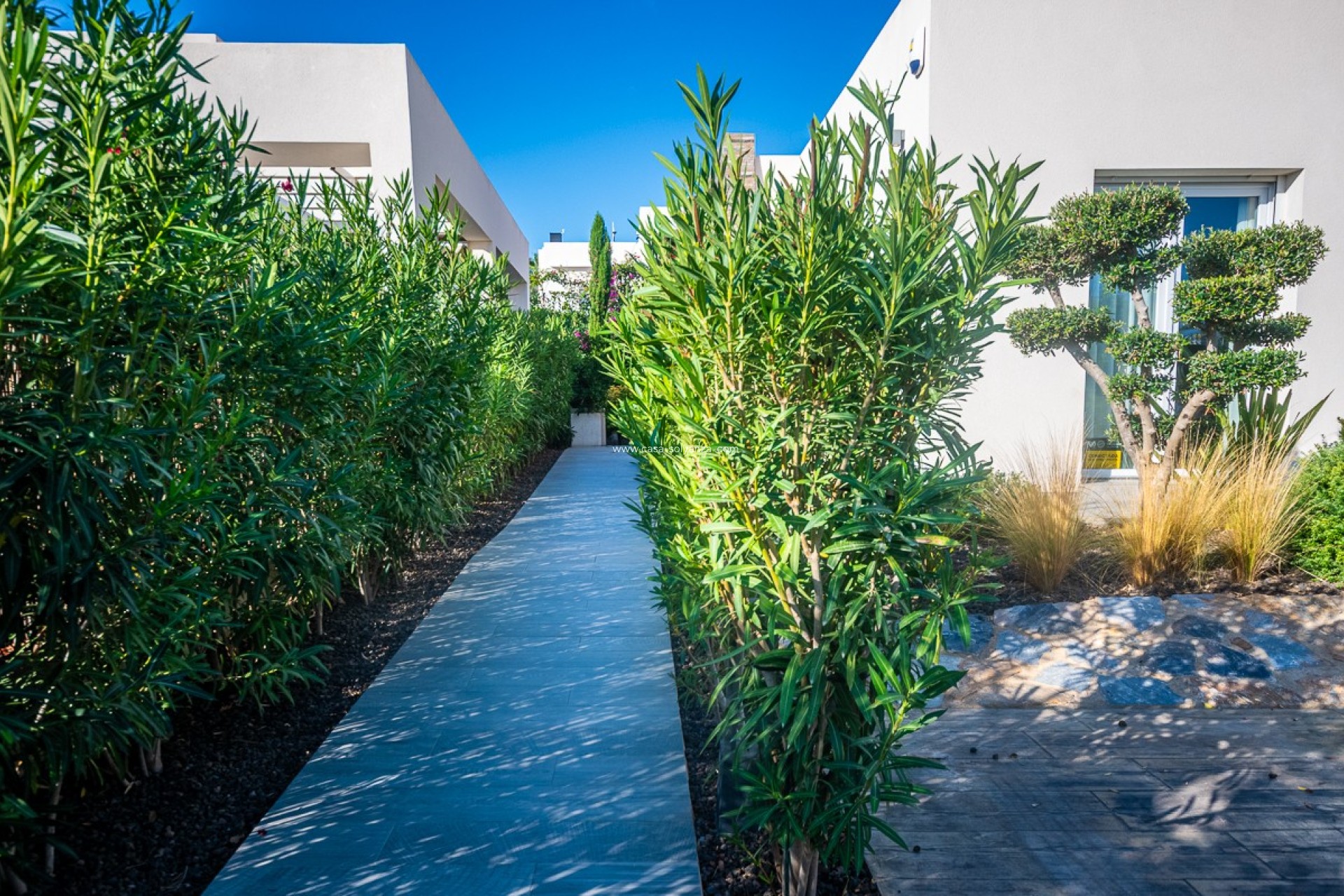 Revente - Villa - Algorfa - Inland