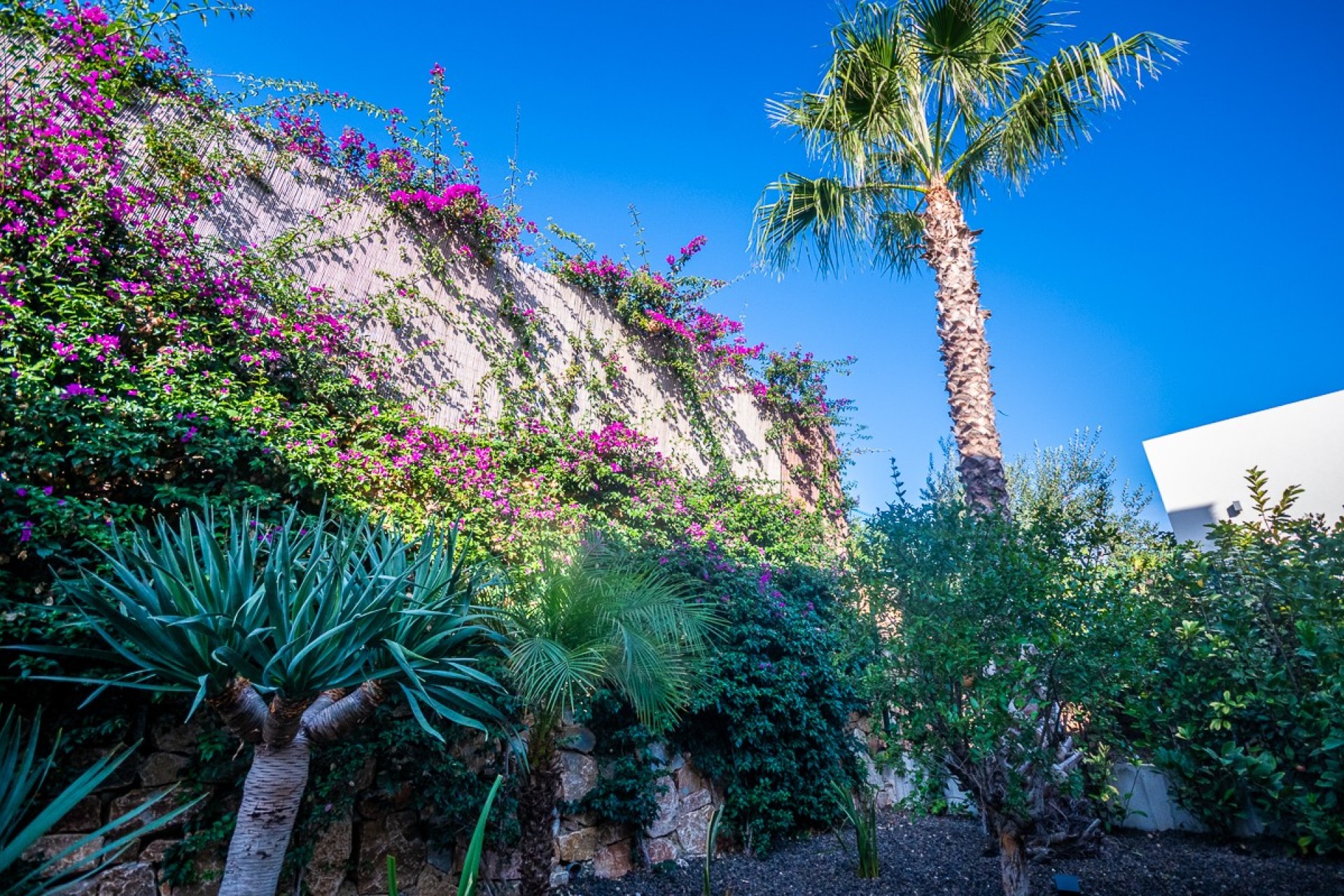 Revente - Villa - Algorfa - Inland