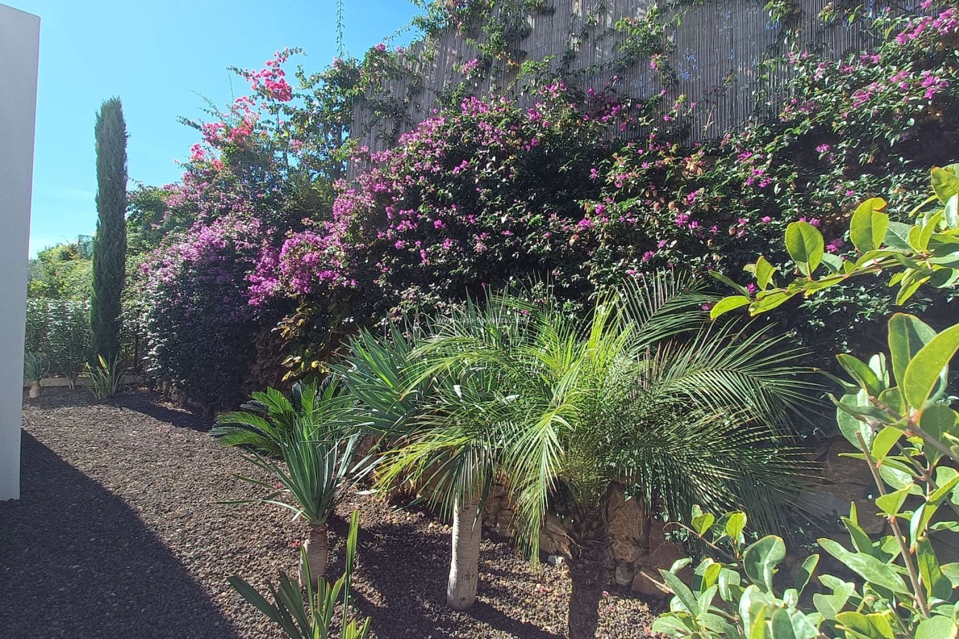 Revente - Villa - Algorfa - Inland