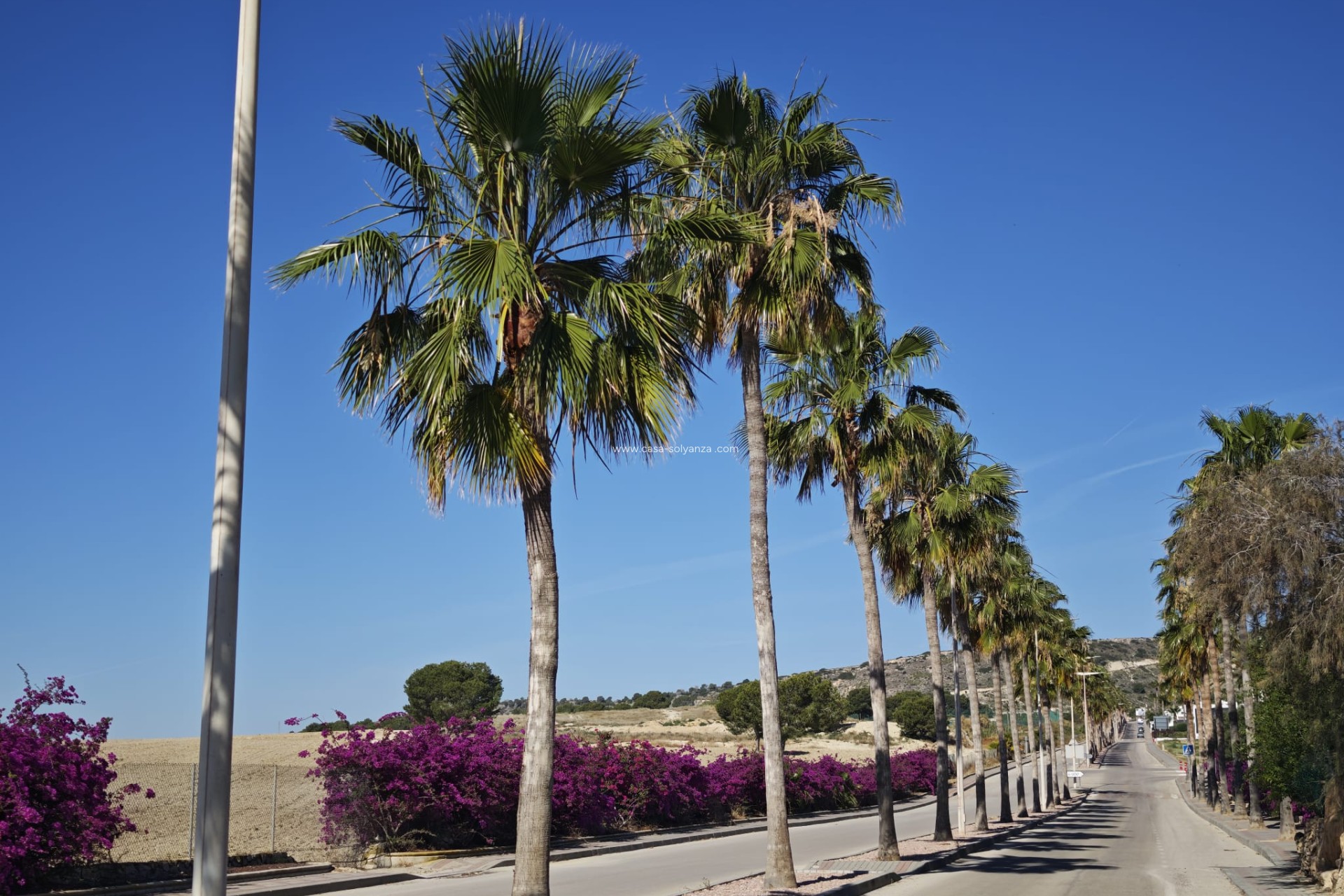 Revente - Villa - Algorfa - Inland