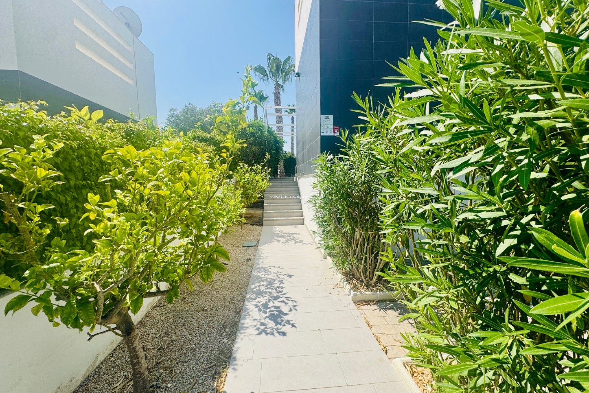 Revente - Villa - Algorfa - La Finca Golf Resort