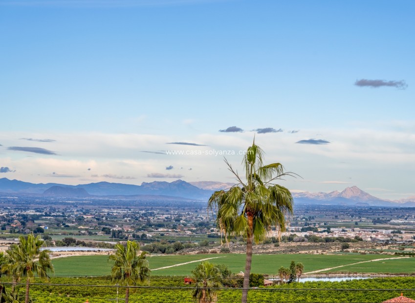 Revente - Villa - Algorfa - Lomas De La Juliana