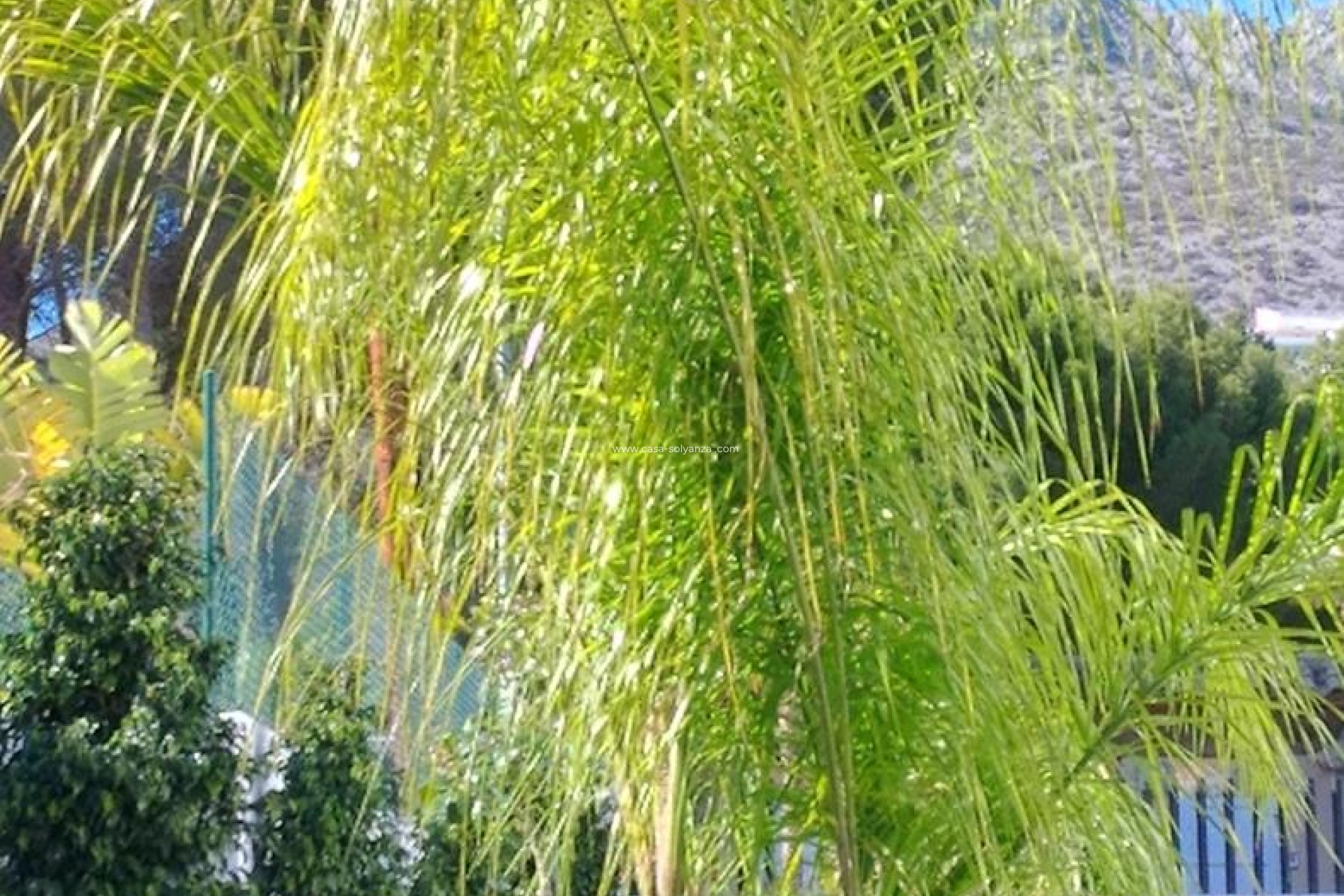 Revente - Villa - Altea - Costa Blanca