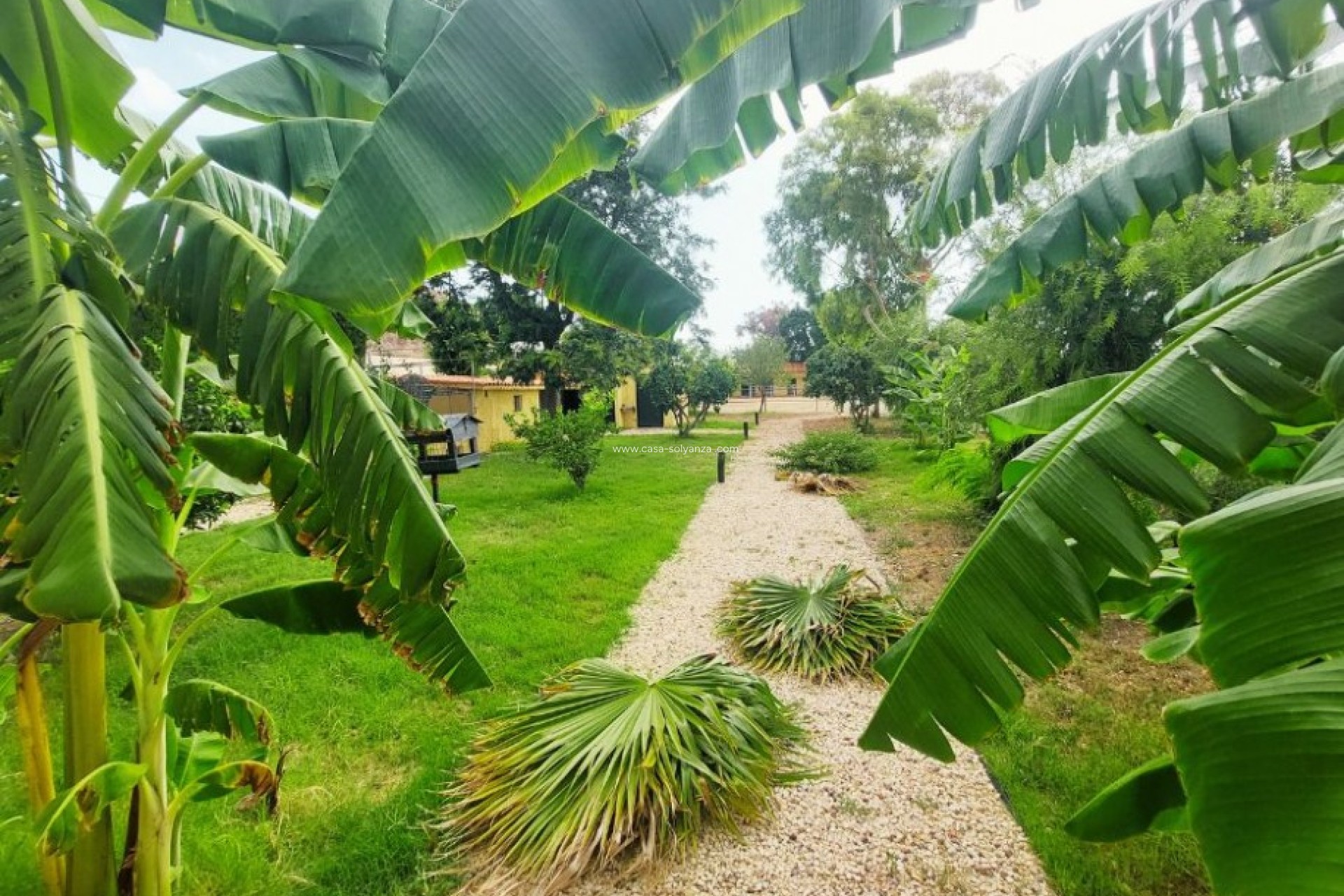 Revente - Villa - Altea - Costa Blanca