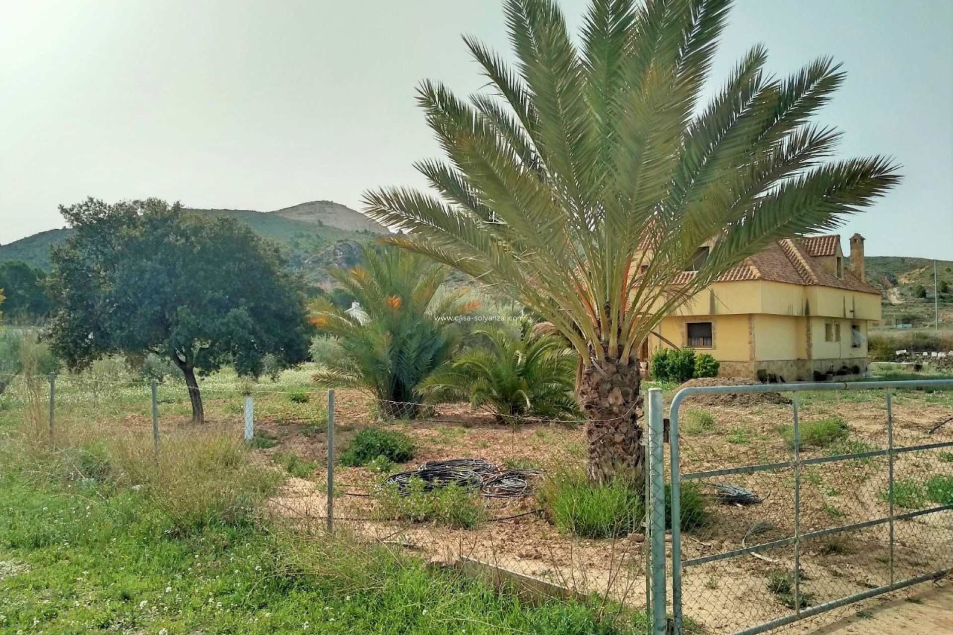 Revente - Villa - Aspe - Inland