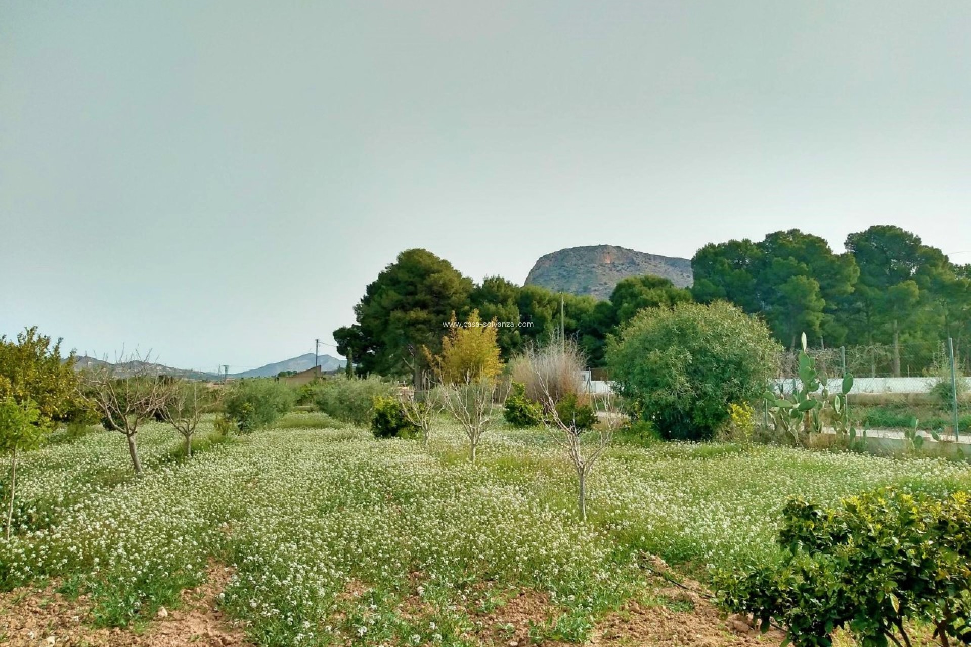 Revente - Villa - Aspe - Inland