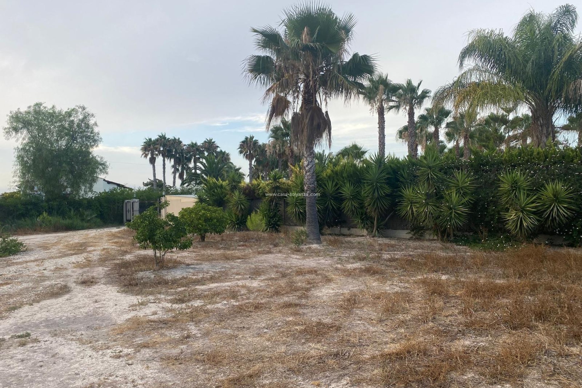 Revente - Villa - Benejuzar - Benejúzar