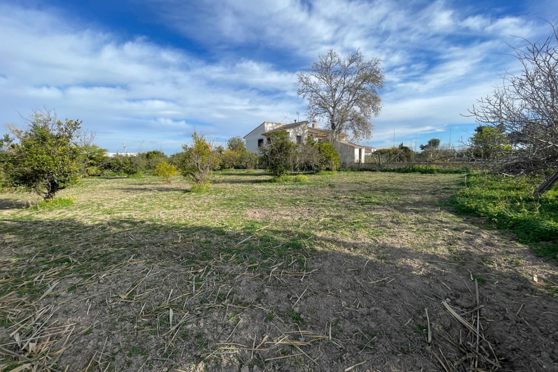 Revente - Villa - Benejuzar - Inland