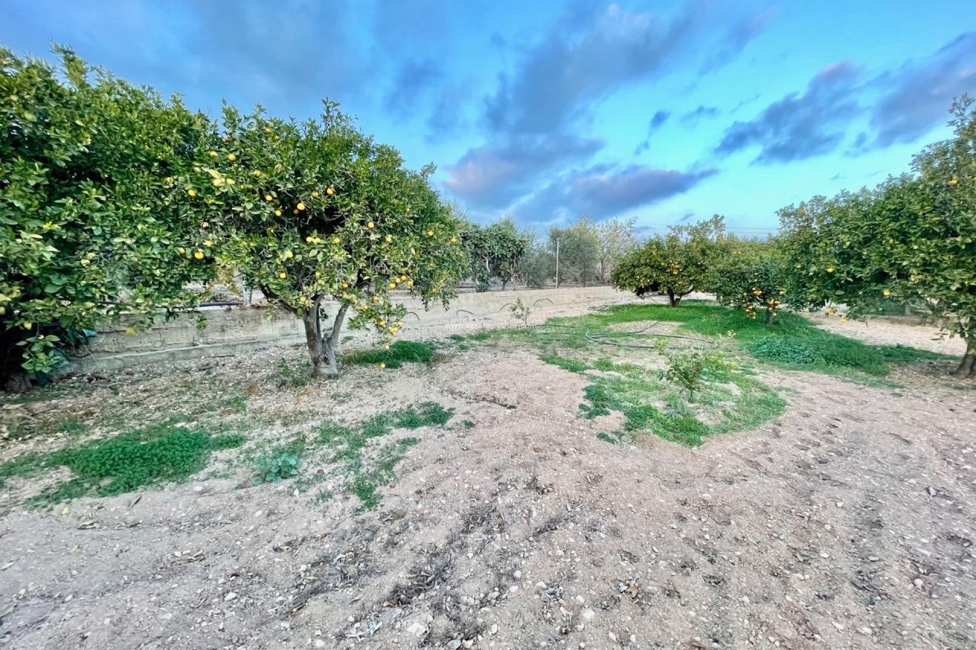 Revente - Villa - Benidorm - Salto Del Agua