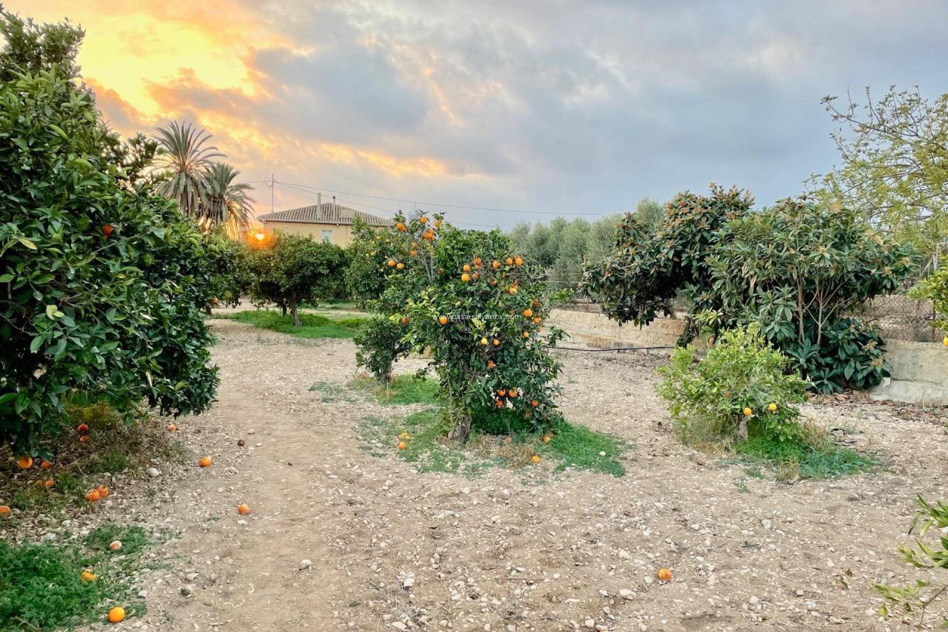 Revente - Villa - Benidorm - Salto Del Agua