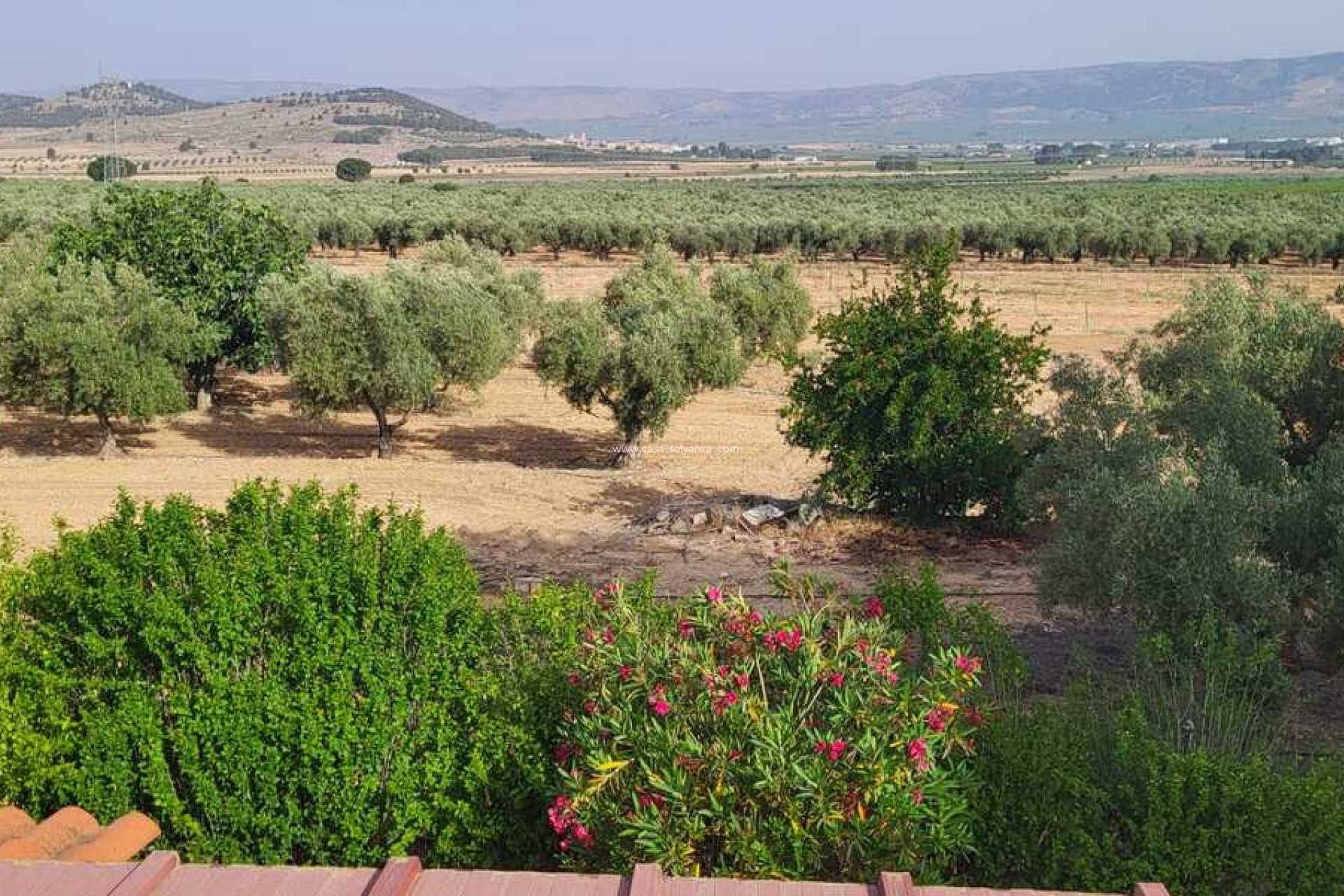 Revente - Villa - Biar - Costa Blanca