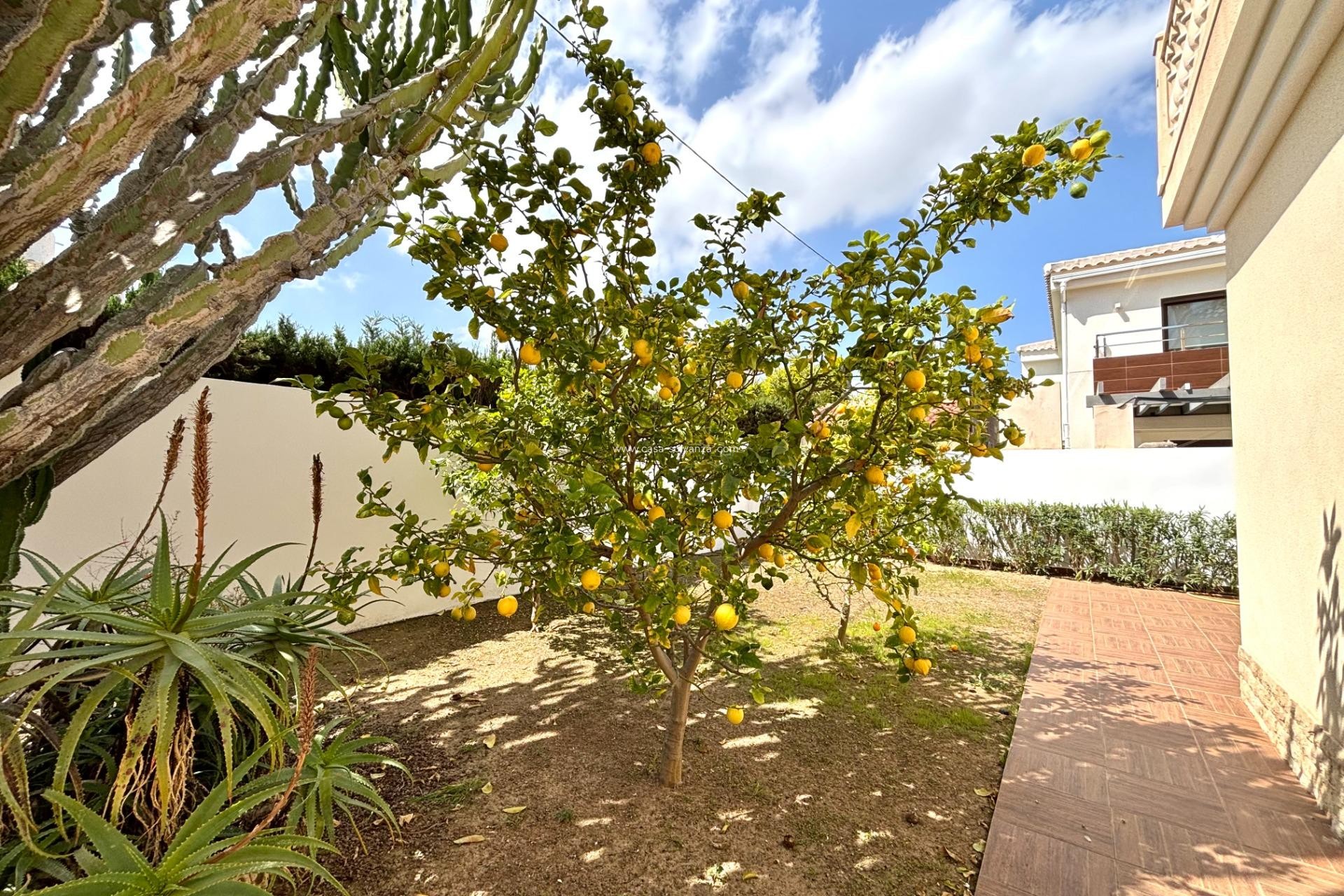 Revente - Villa - Cabo Roig - Costa Blanca