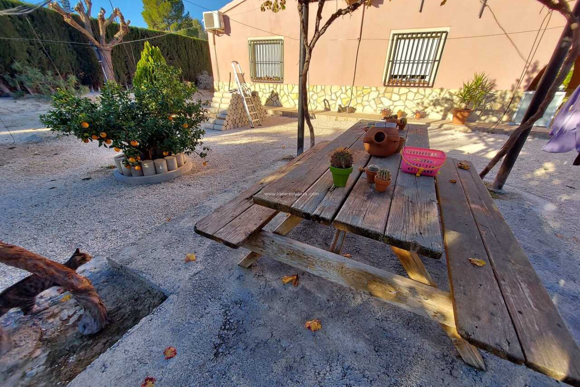 Revente - Villa - Calasparra - Inland