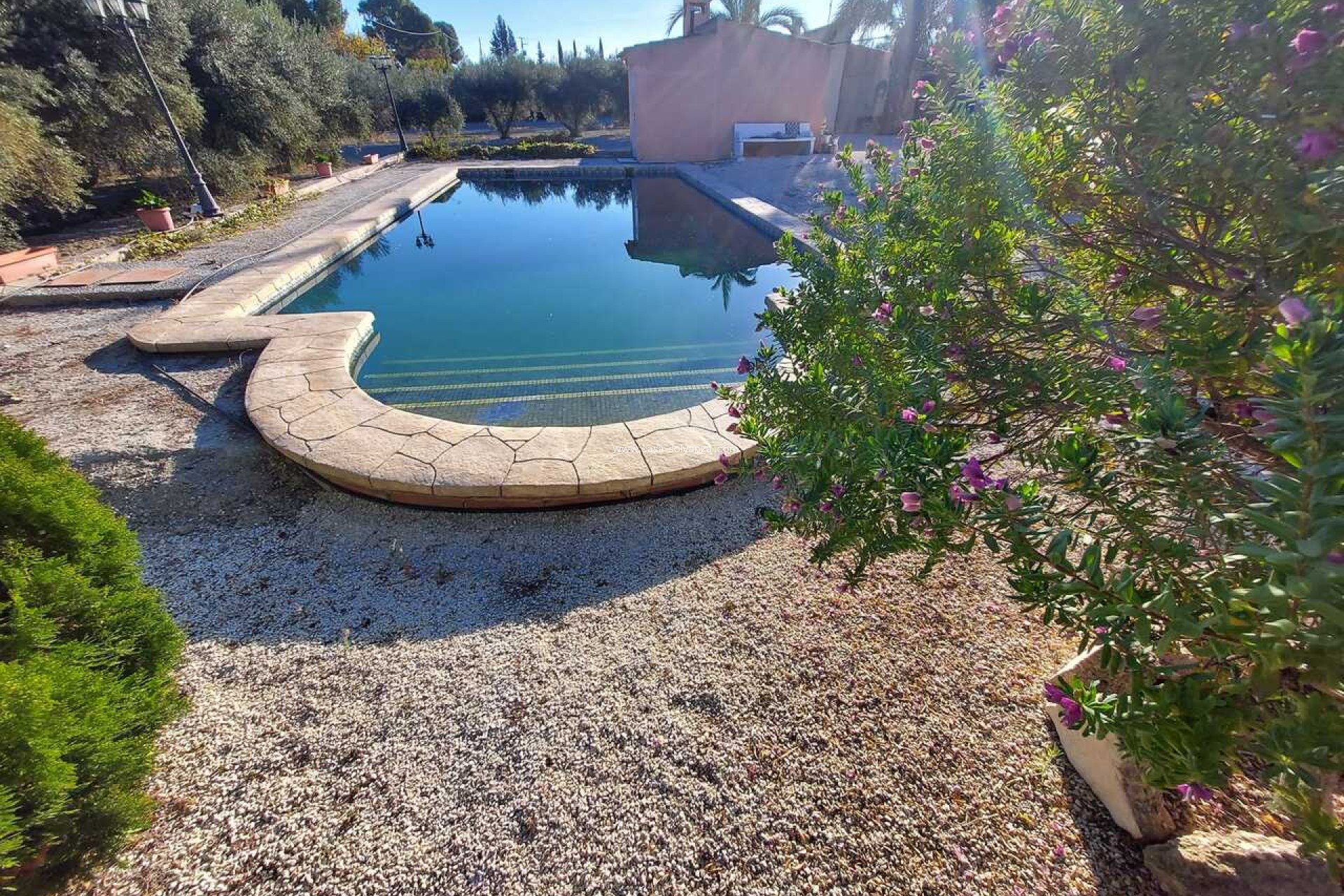 Revente - Villa - Calasparra - Inland