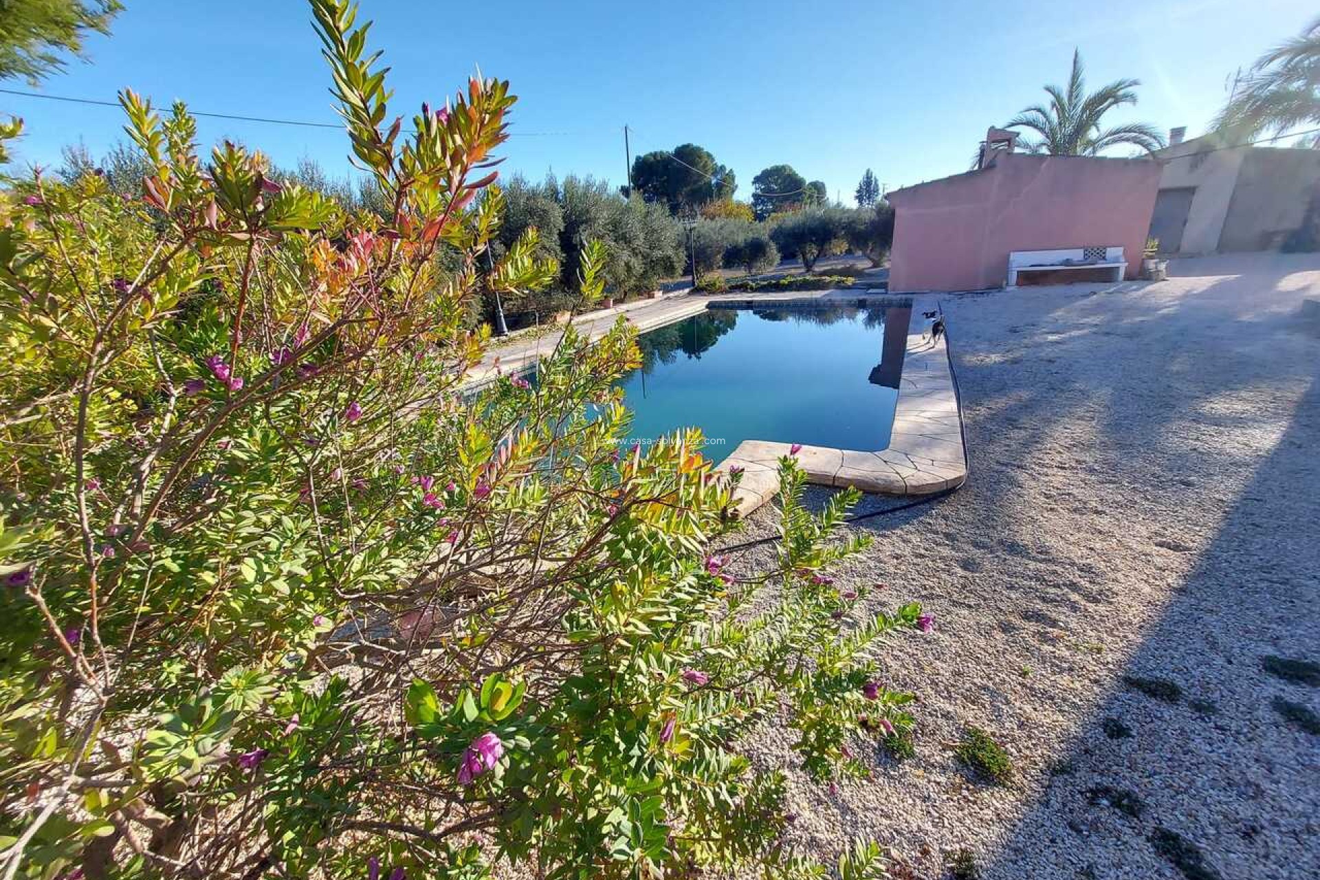 Revente - Villa - Calasparra - Inland