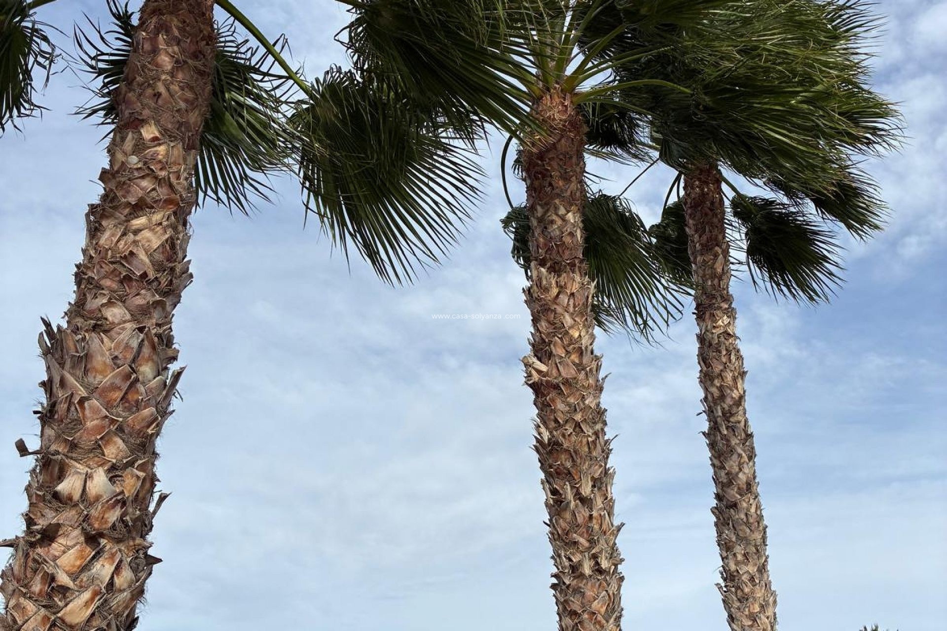 Revente - Villa - Crevillente - Crevillent