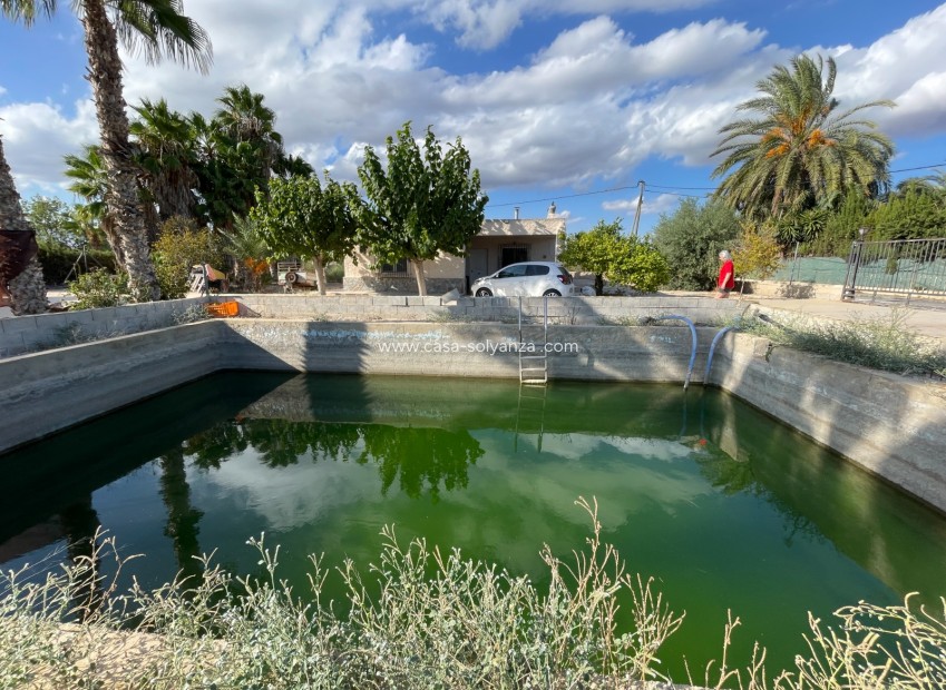 Revente - Villa - Crevillente - Inland