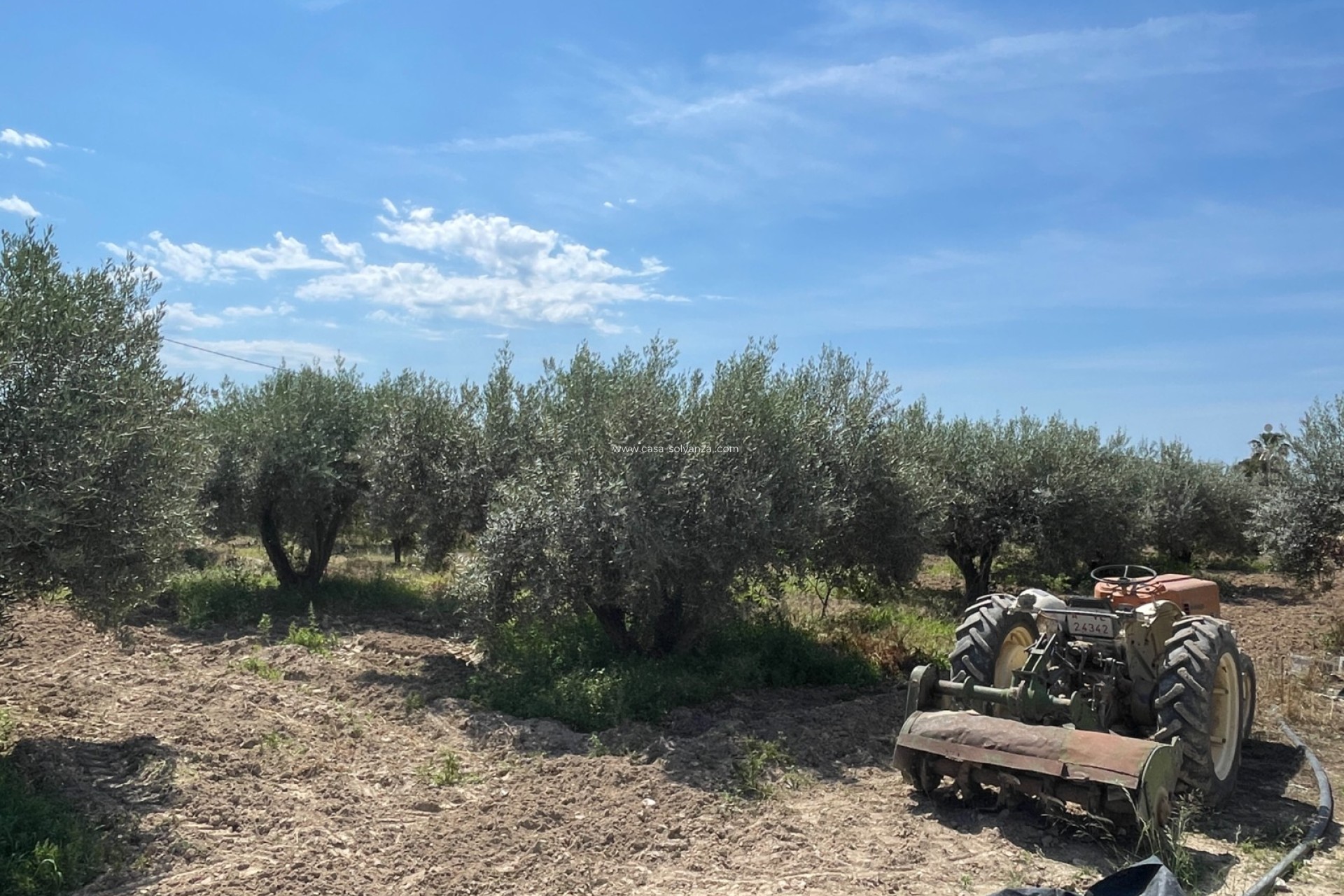 Revente - Villa - Crevillente - Inland