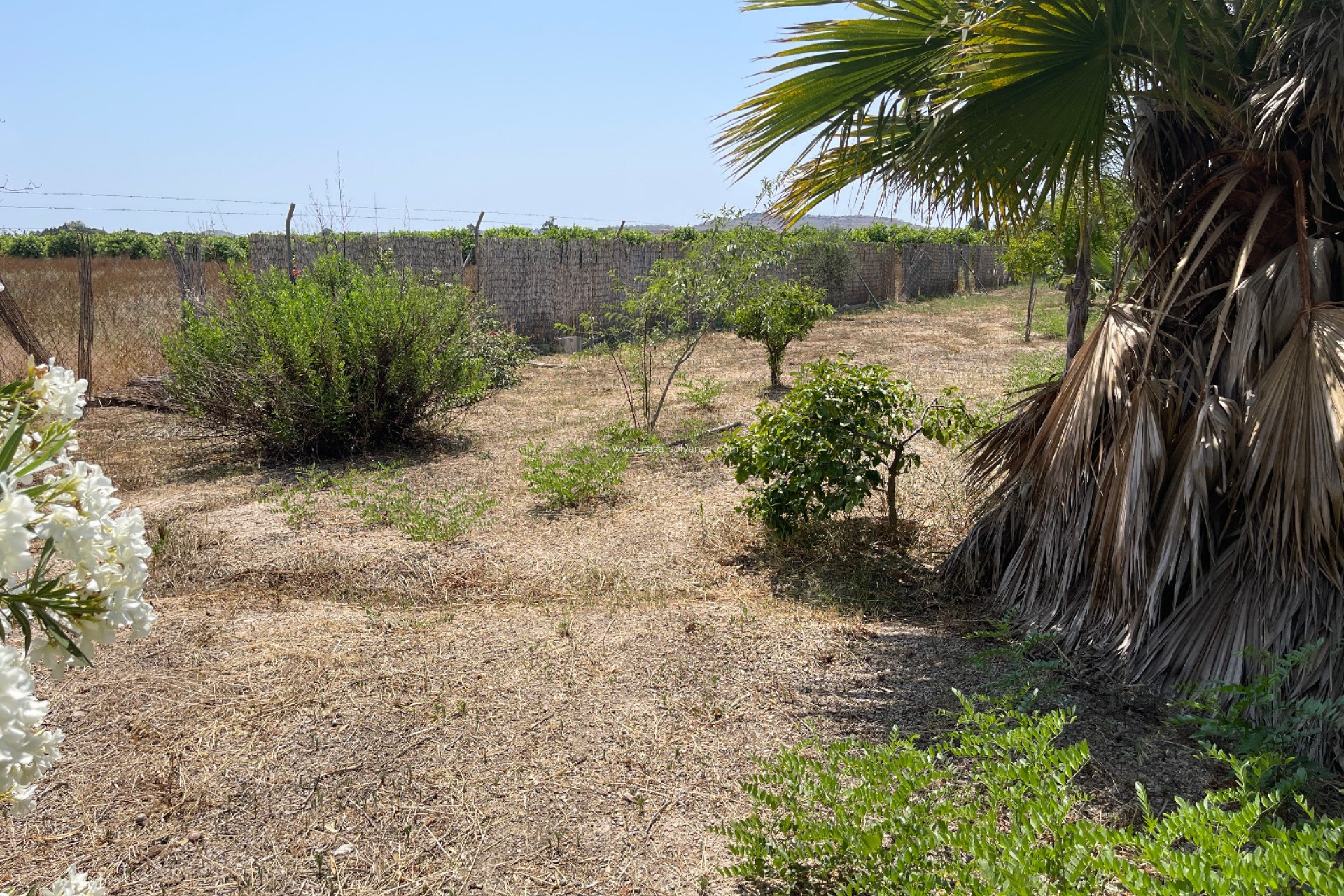 Revente - Villa - Daya Nueva - Costa Blanca