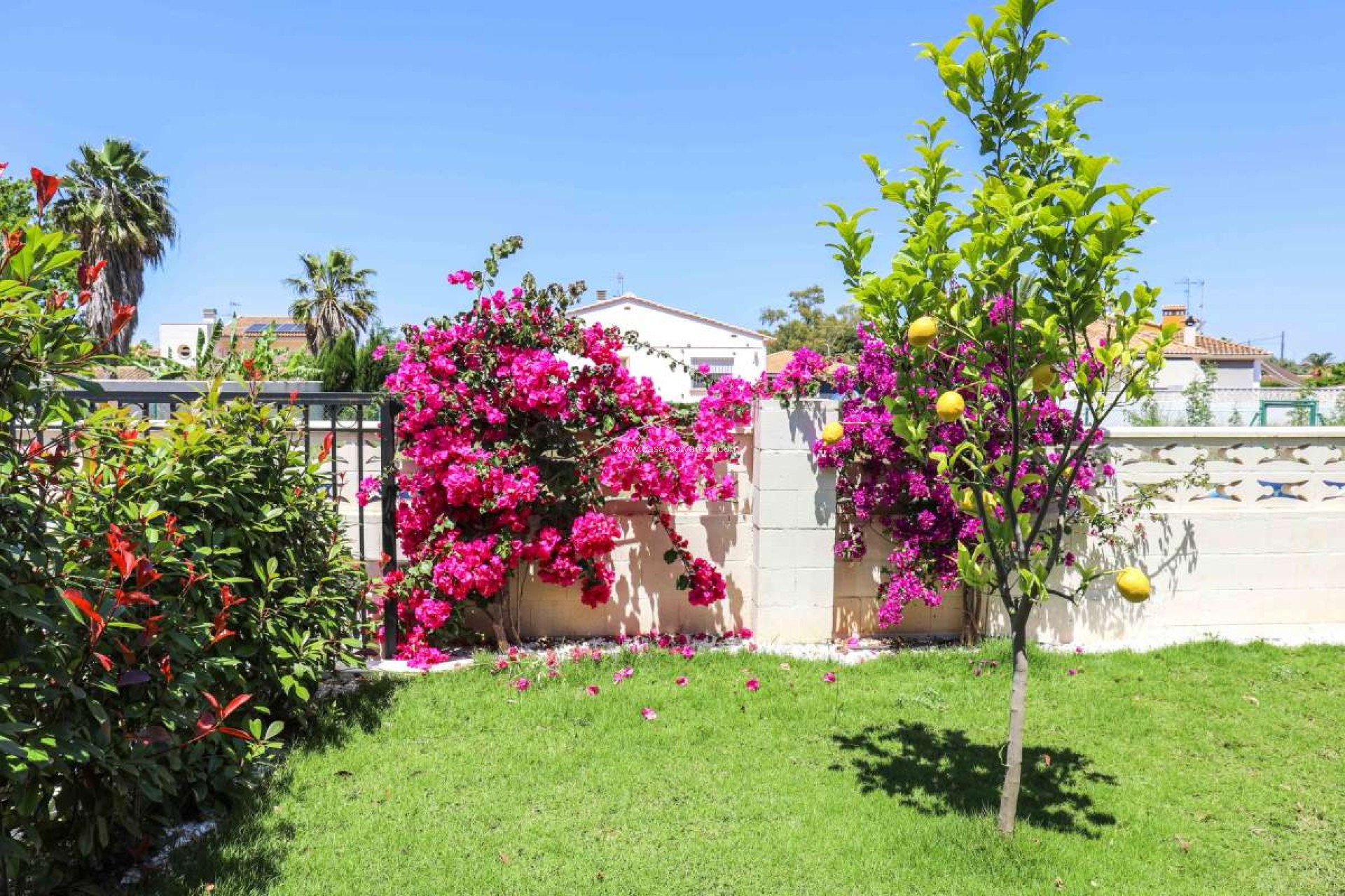 Revente - Villa - Denia - Costa Blanca