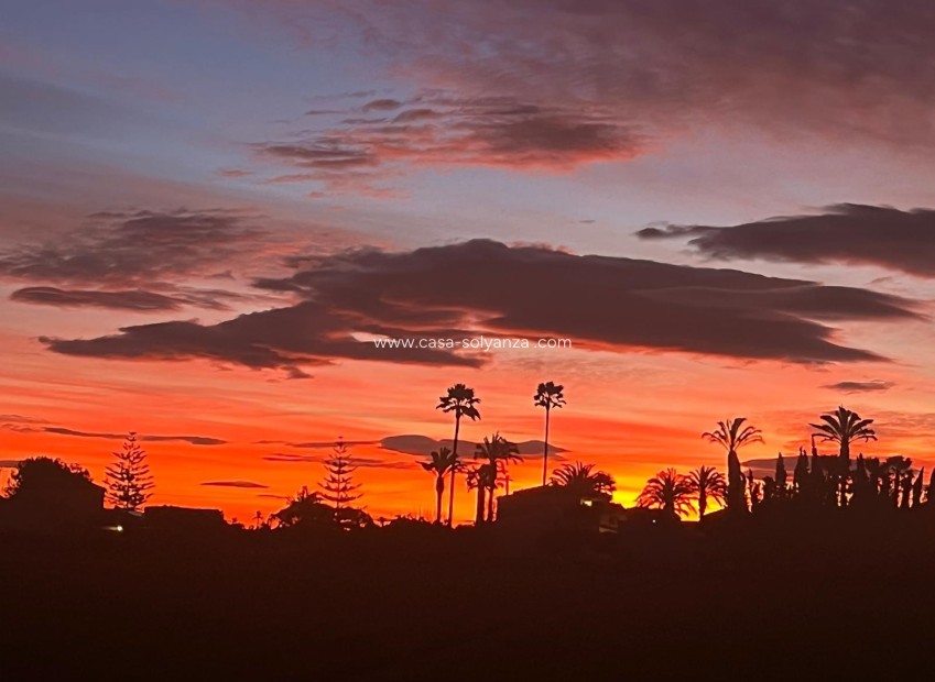 Revente - Villa - Dolores - Comunidad Valenciana