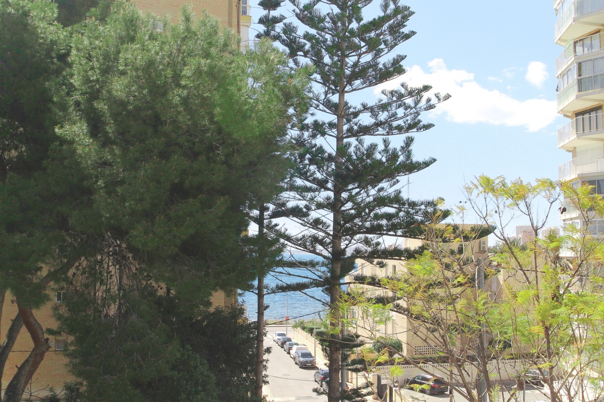 Revente - Villa - El Campello - Costa Blanca