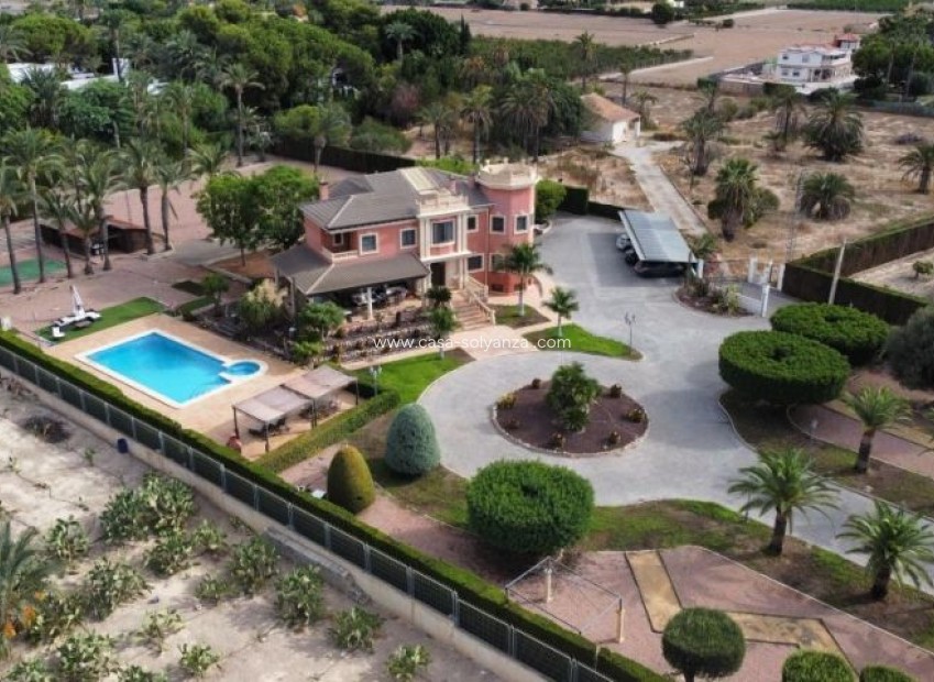 Revente - Villa - Elche - Costa Blanca