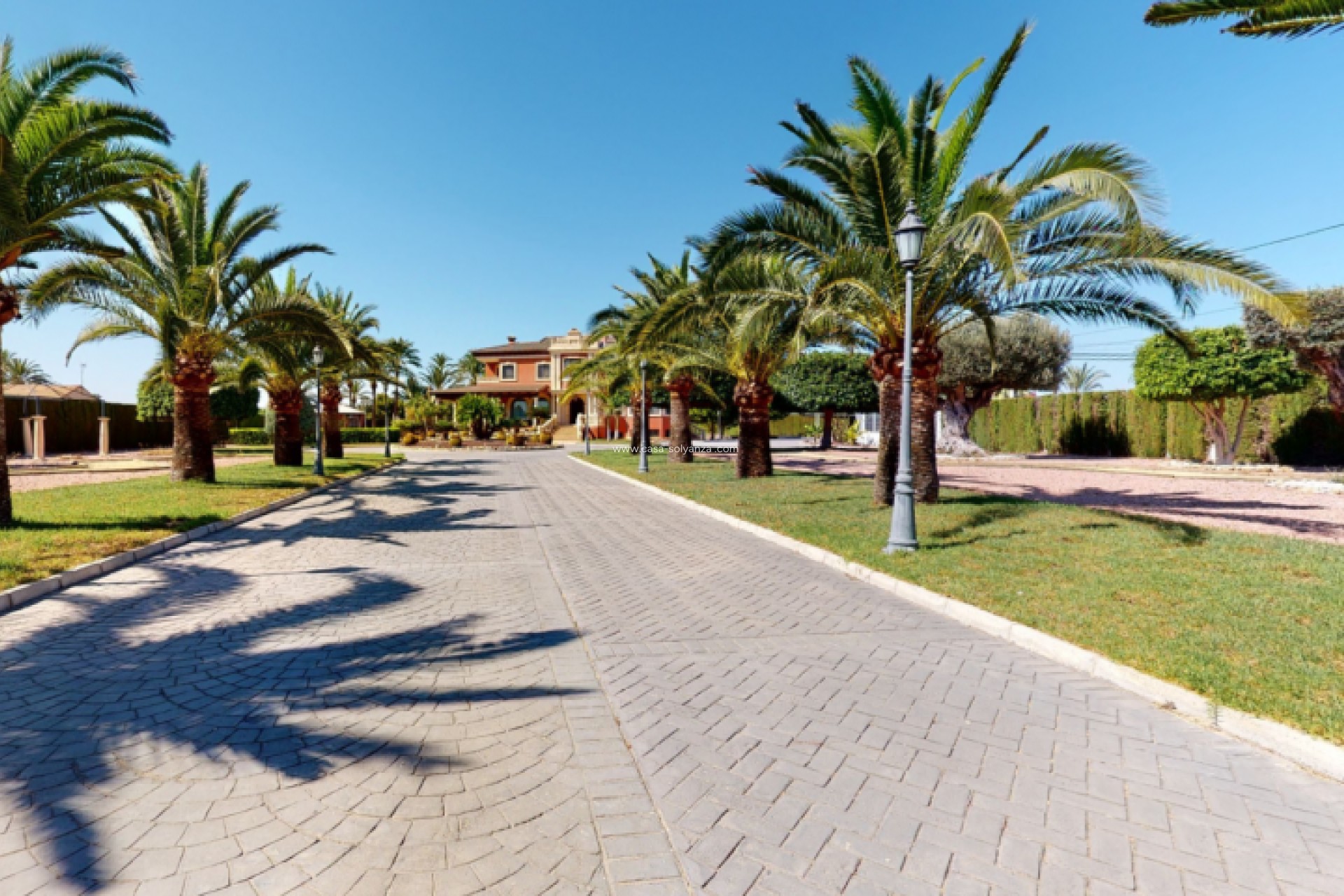 Revente - Villa - Elche - Costa Blanca