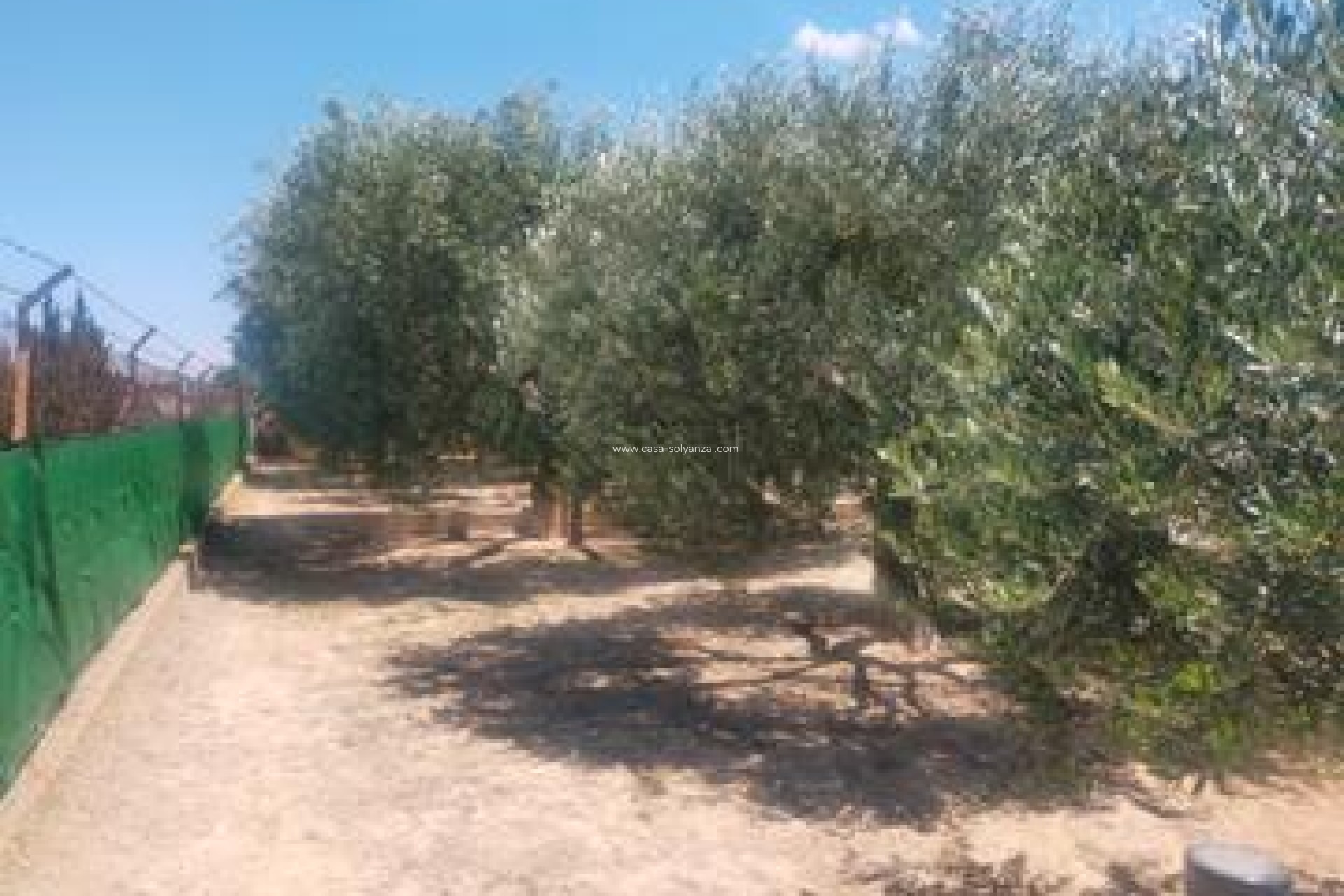 Revente - Villa - Elche - Costa Blanca