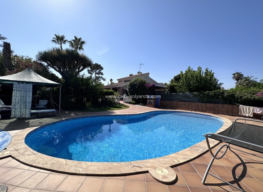Revente - Villa - Elche - Costa Blanca