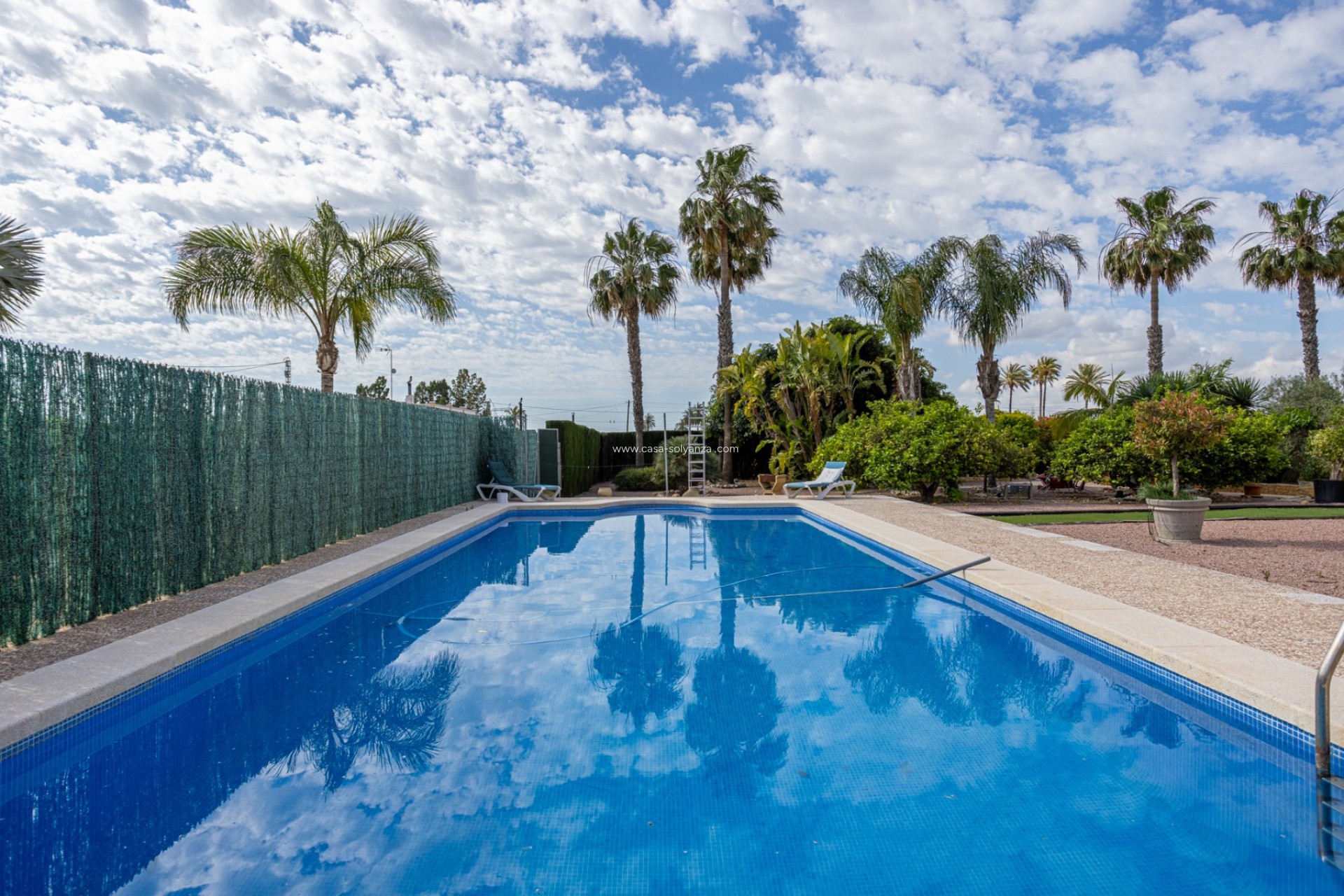Revente - Villa - Elche - Costa Blanca