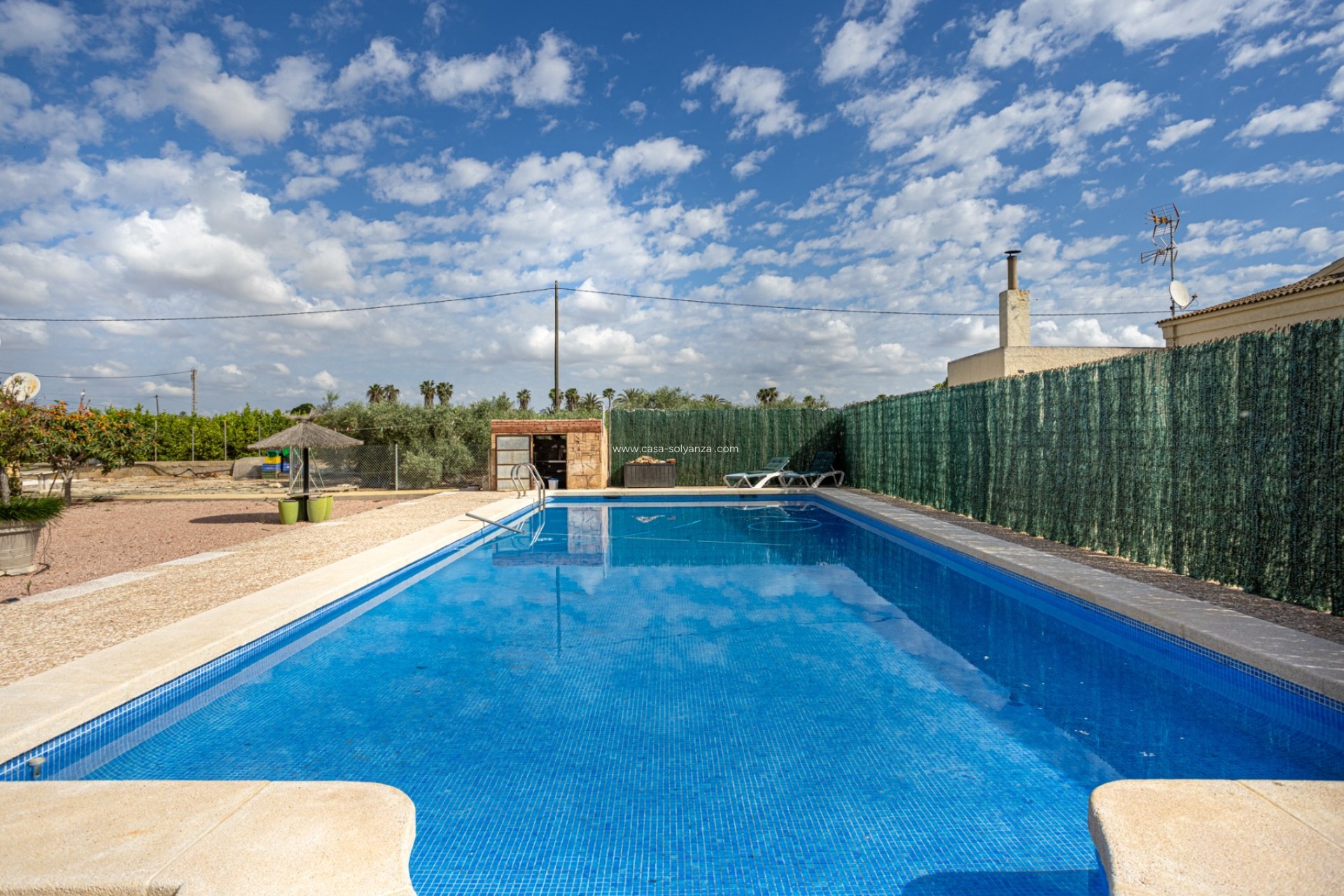 Revente - Villa - Elche - Costa Blanca
