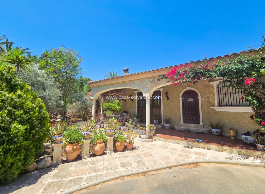 Revente - Villa - Elche - Costa Blanca
