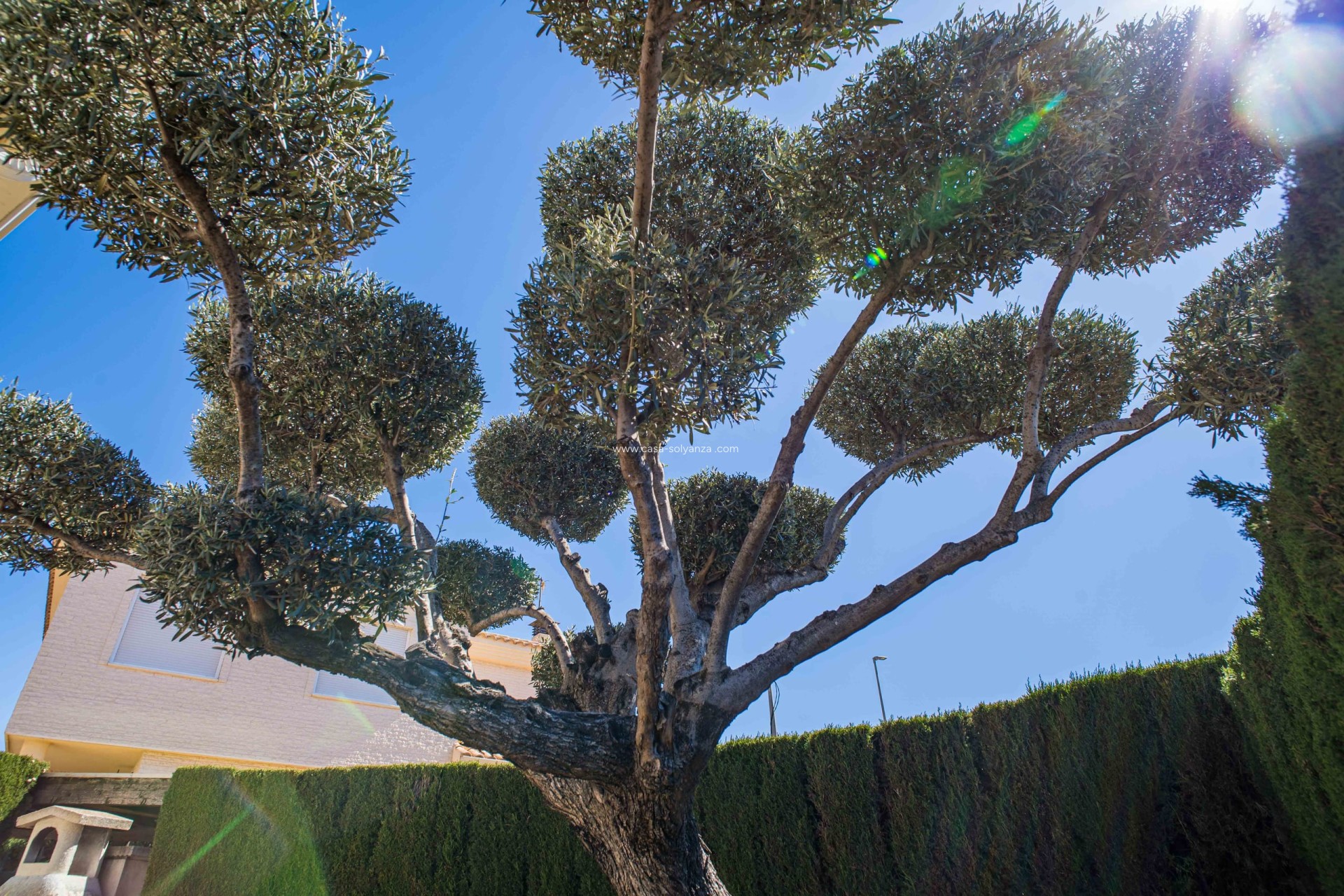 Revente - Villa - Elda