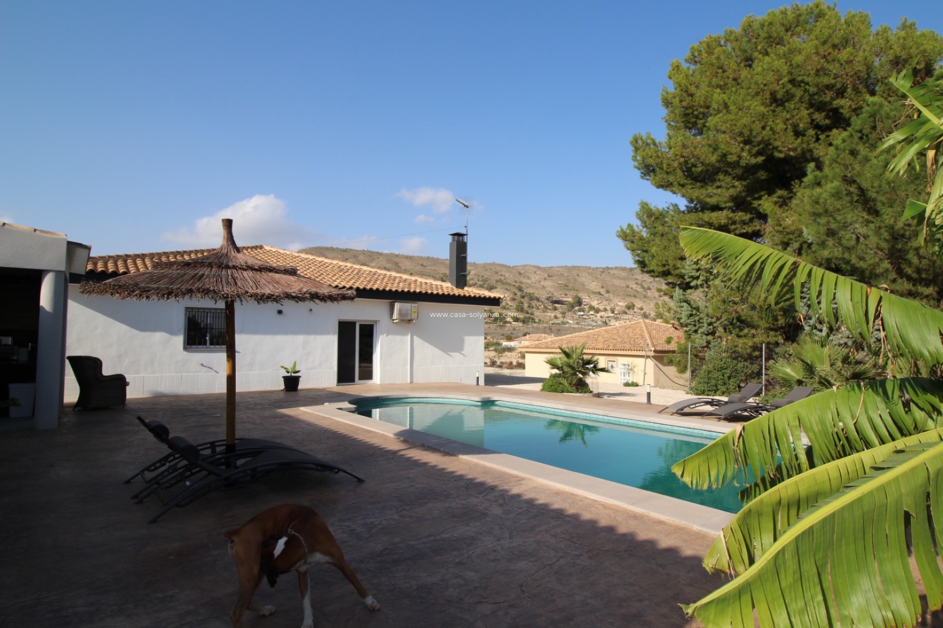 Revente - Villa - Fortuna - Inland