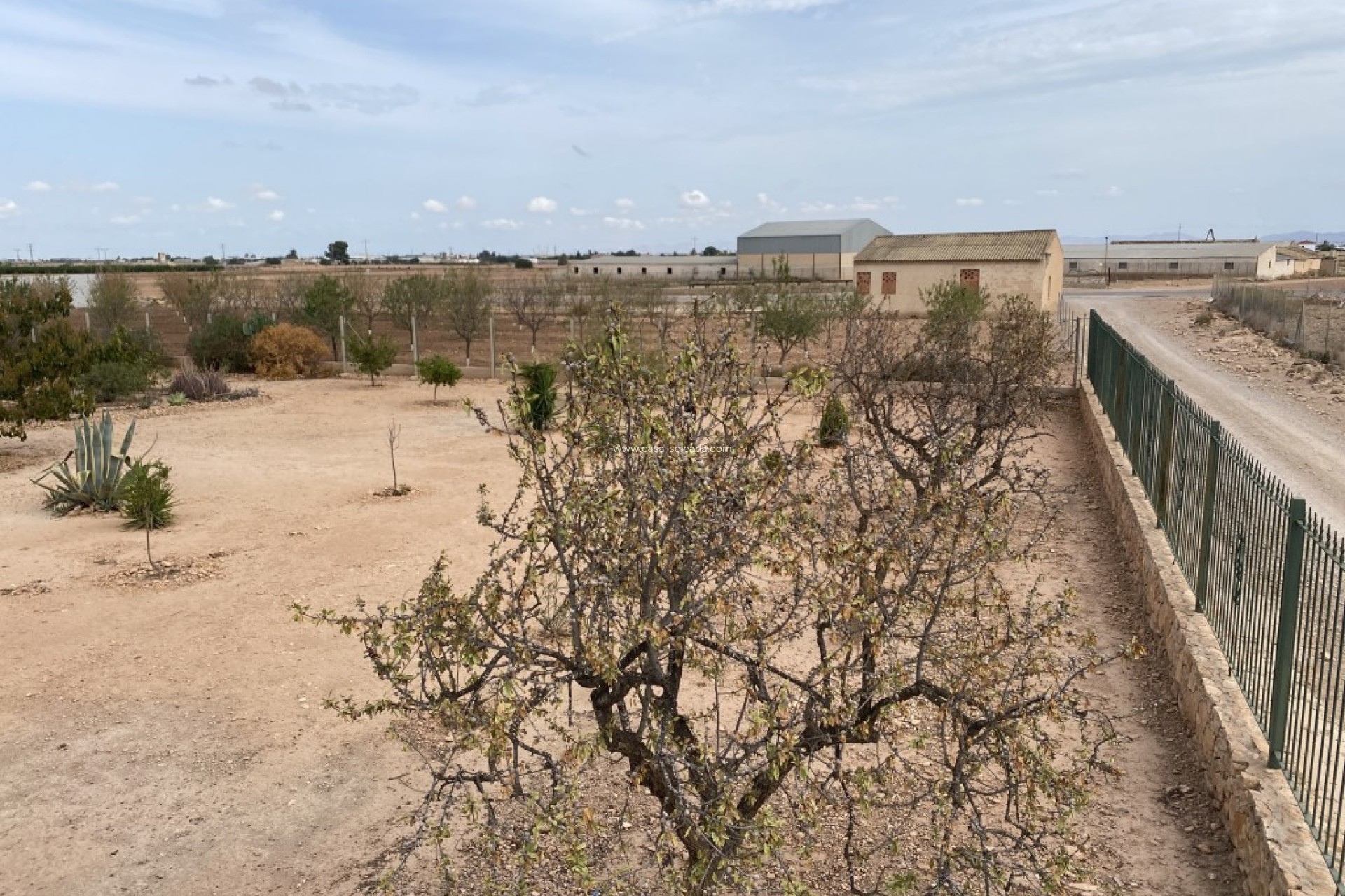 Revente - Villa - Fuente Alamo