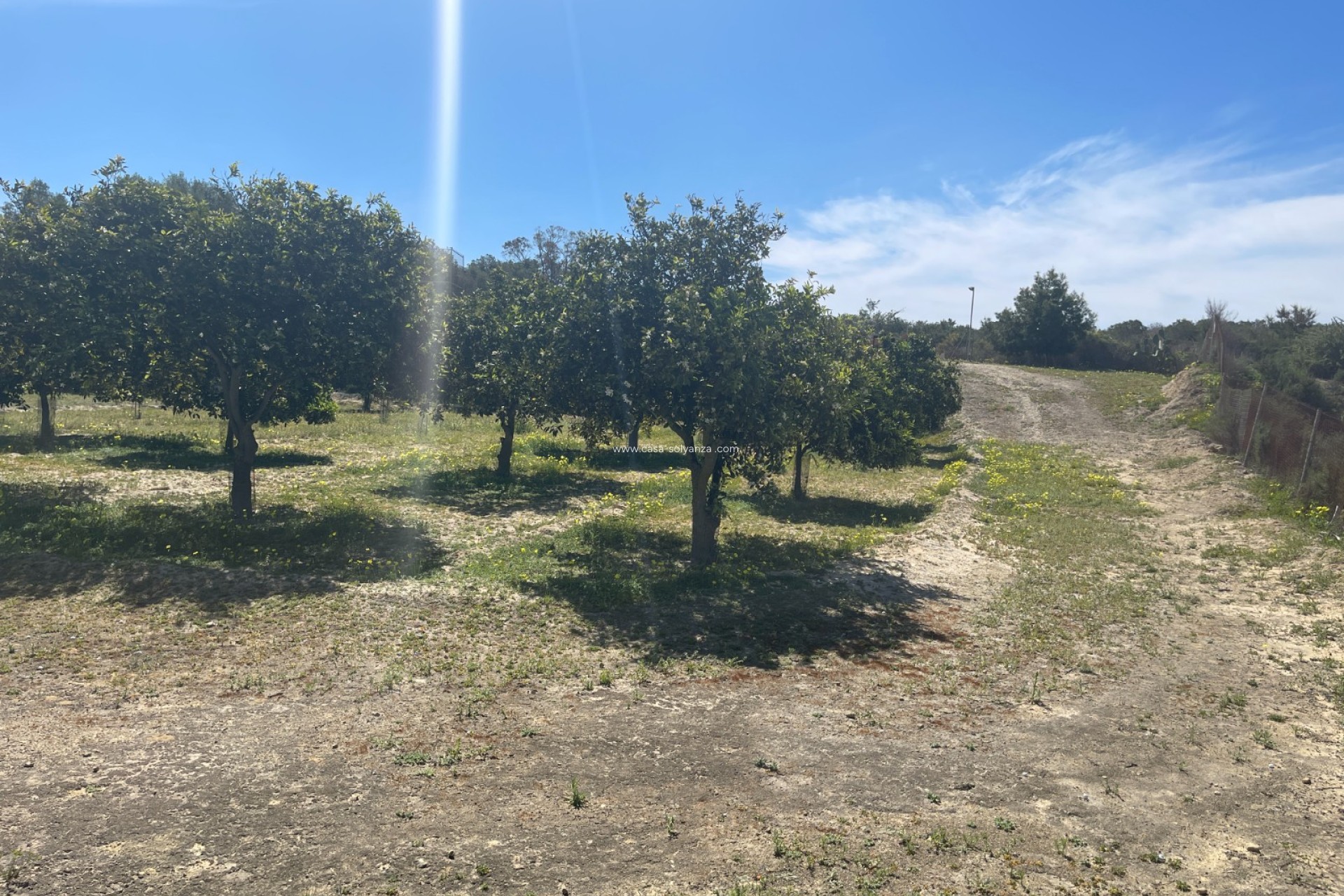 Revente - Villa - Guardamar del Segura - Costa Blanca