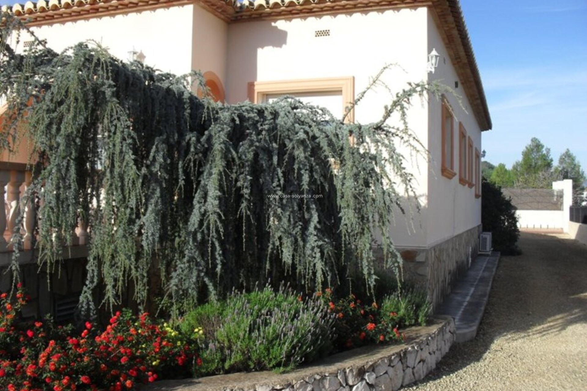 Revente - Villa - Jalón - Inland