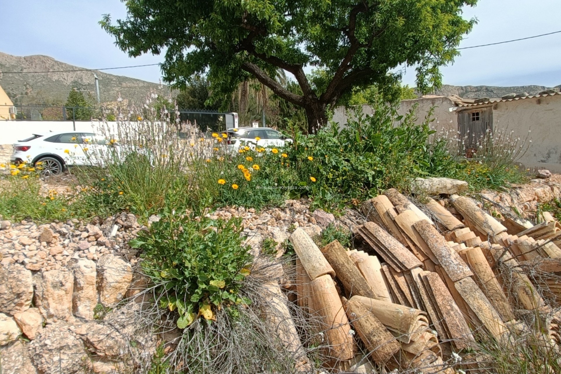 Revente - Villa - La Romana - Inland