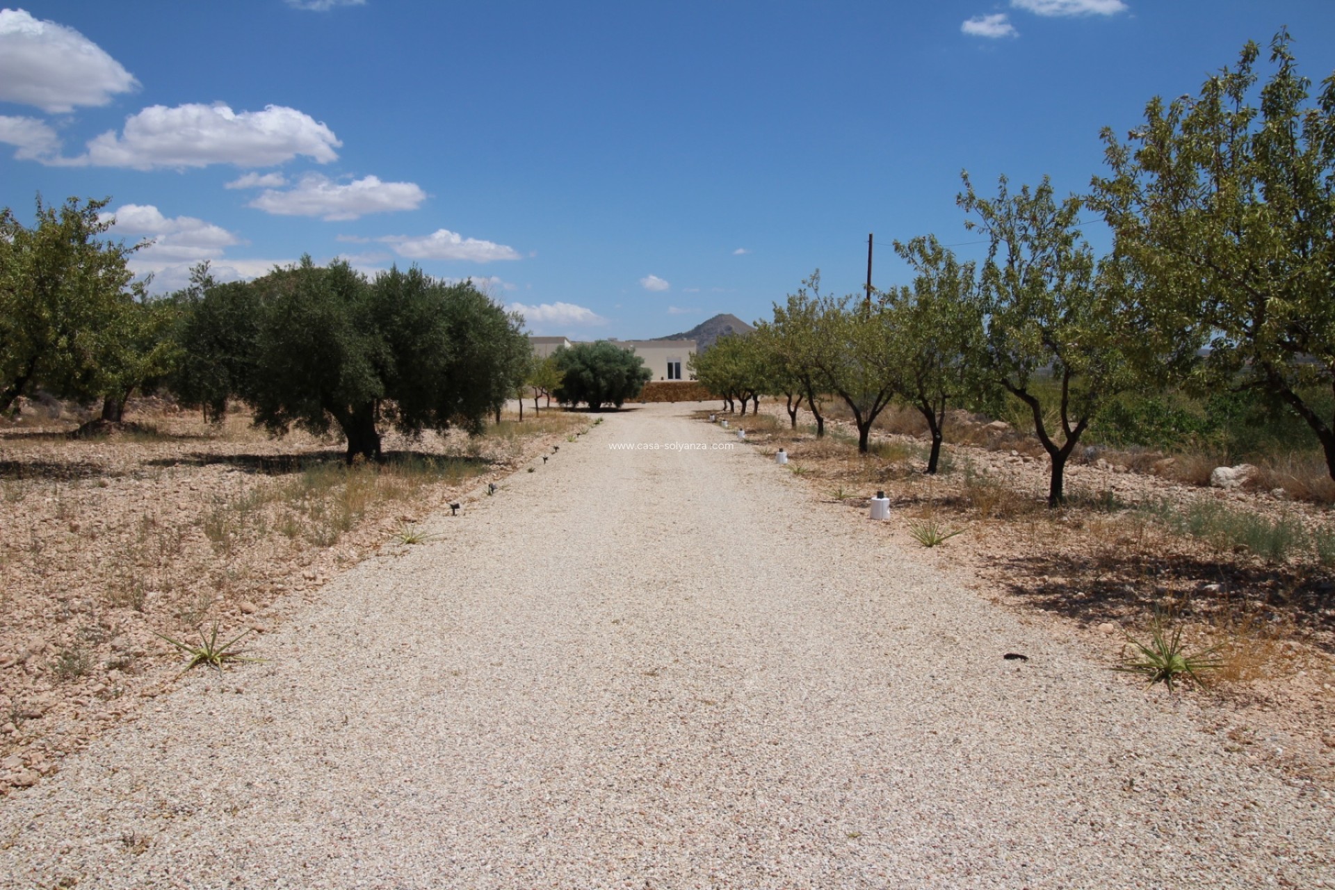 Revente - Villa - Macisvenda - Inland