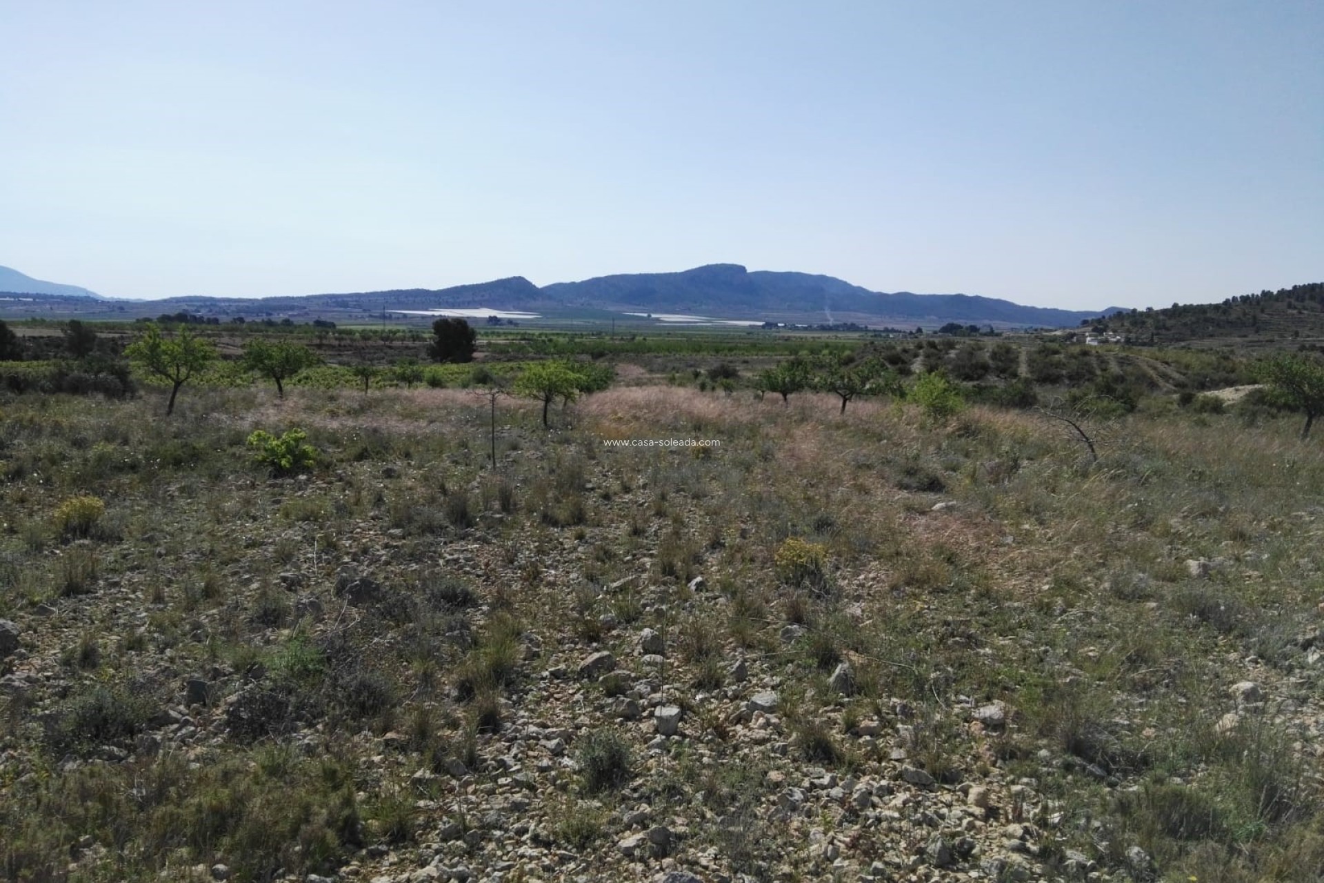 Revente - Villa - Monóvar - Inland