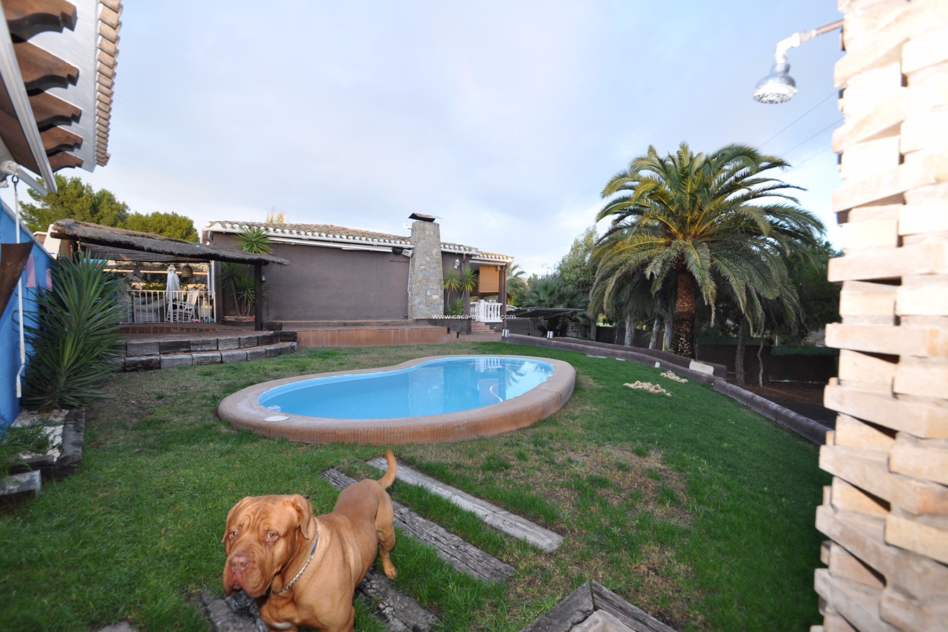 Revente - Villa - Monóvar - Inland