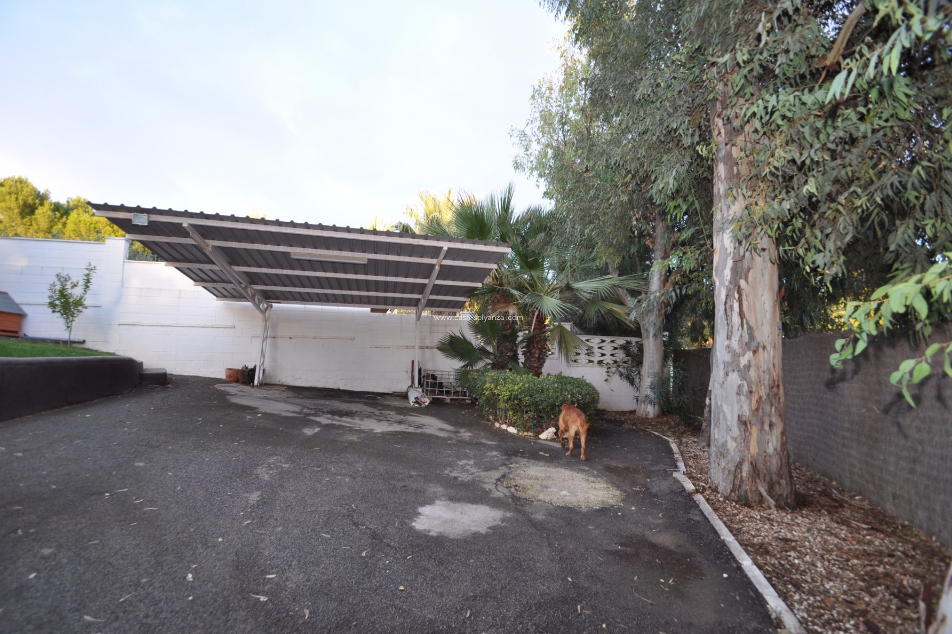 Revente - Villa - Monóvar - Inland