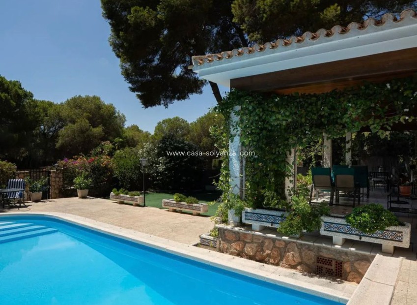 Revente - Villa - Orihuela - Campoamor