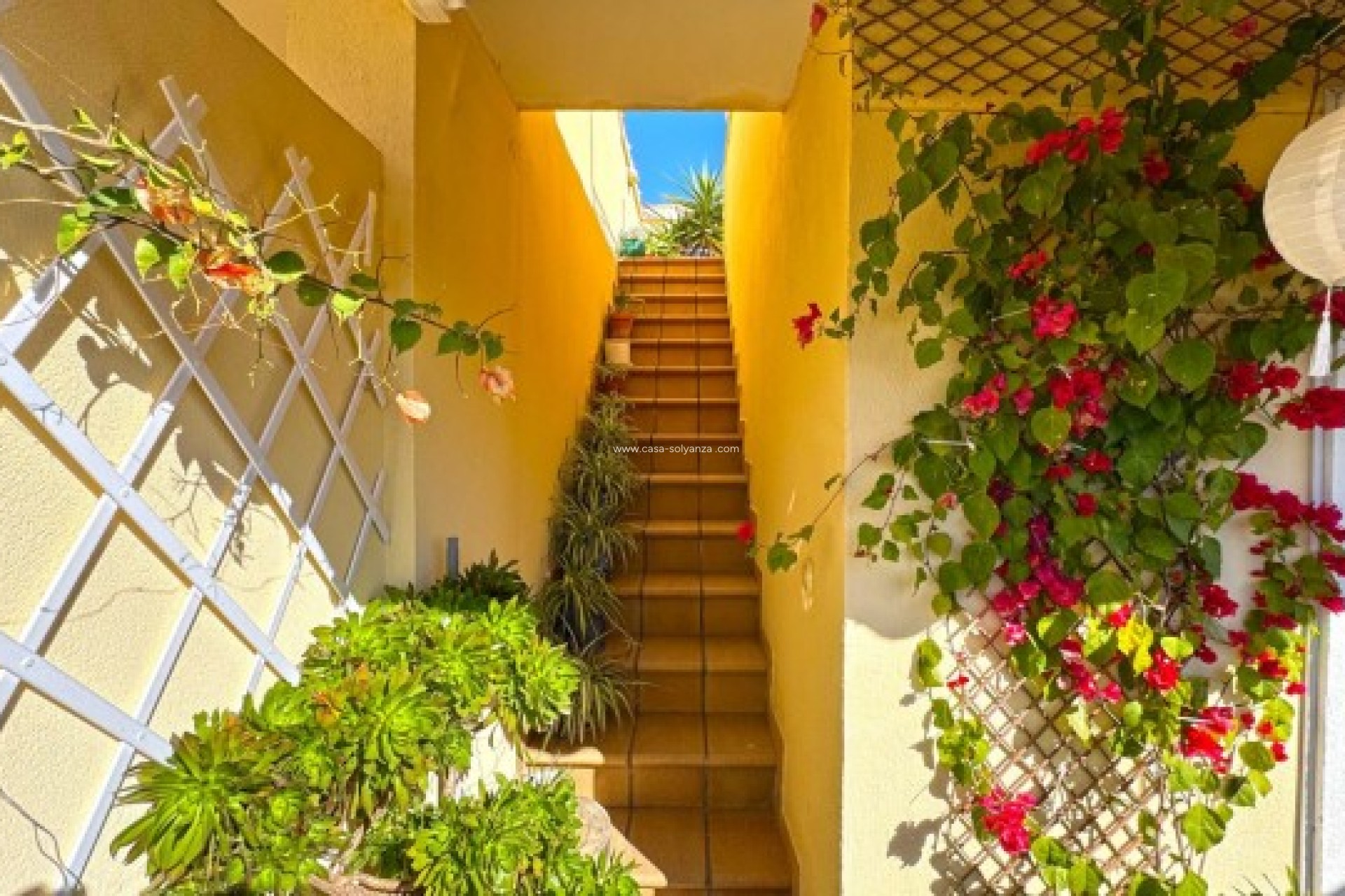 Revente - Villa - Orihuela Costa - 0