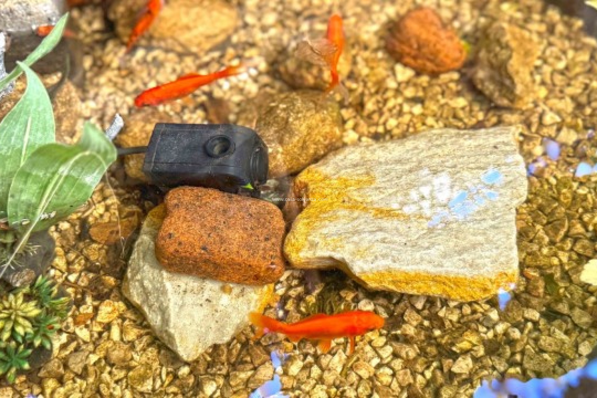 Revente - Villa - Orihuela Costa - 0