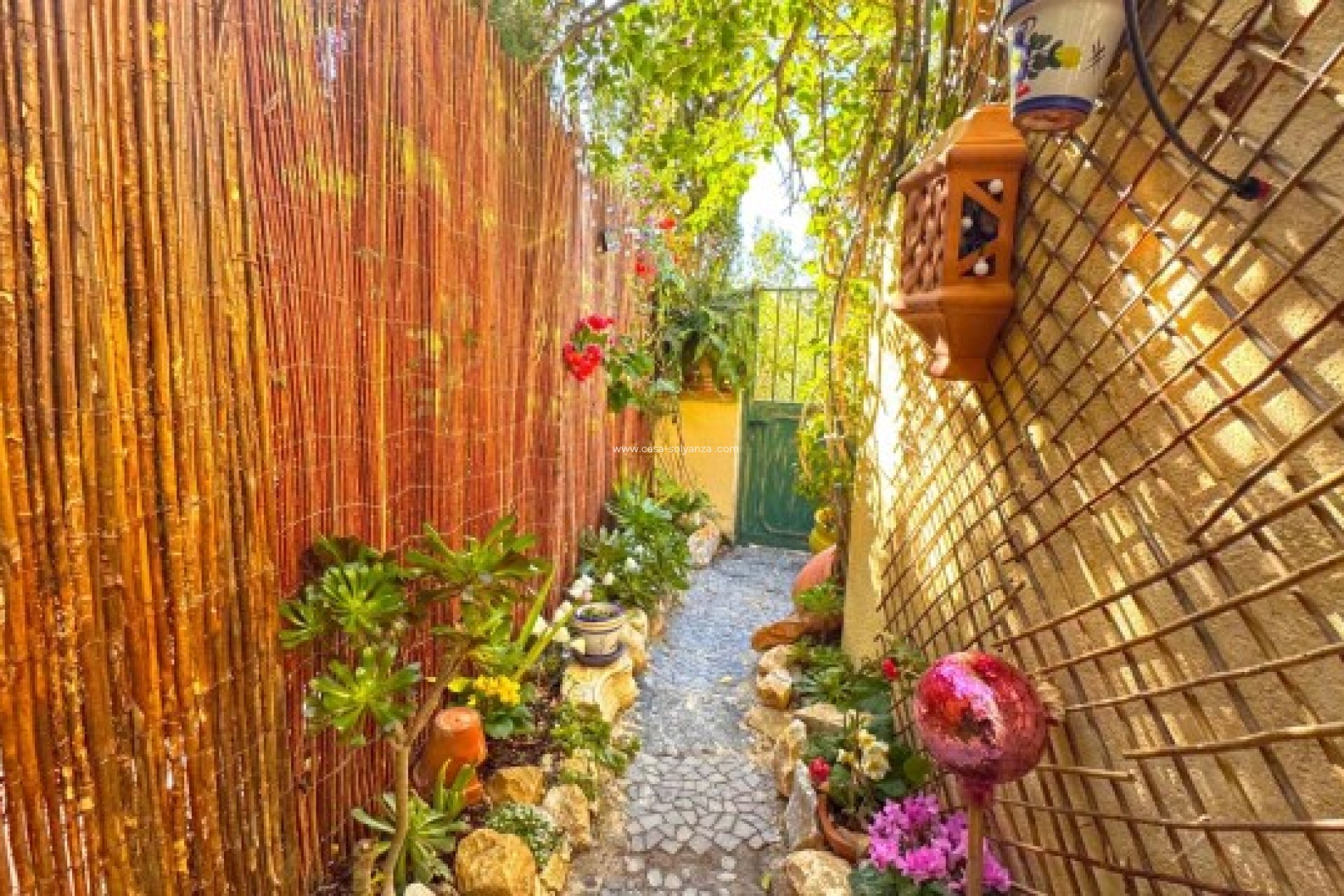 Revente - Villa - Orihuela Costa - 0