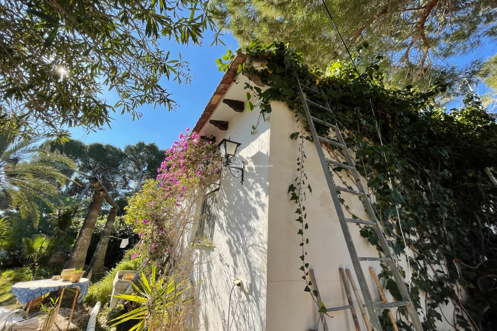 Revente - Villa - Orihuela Costa - Costa Blanca