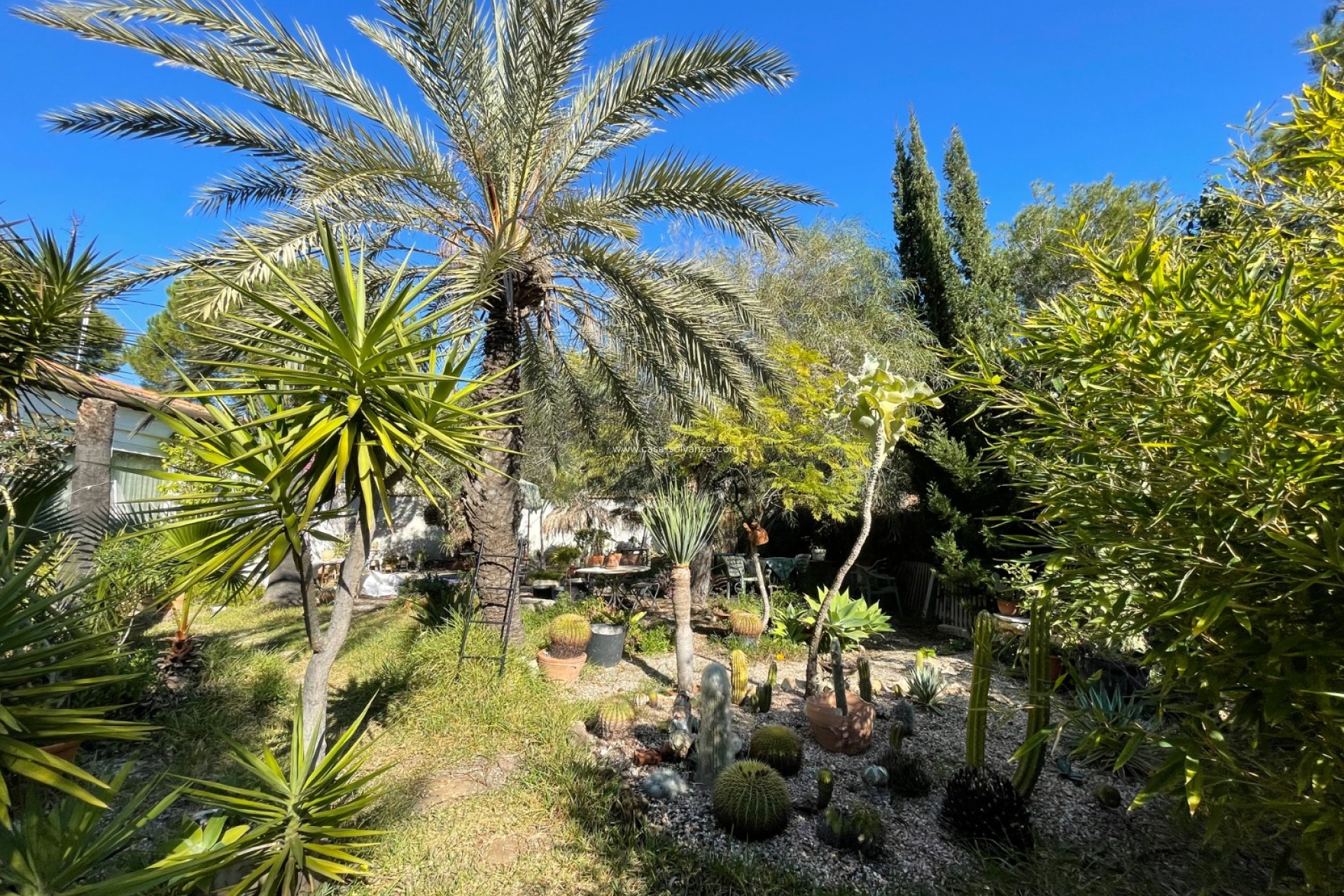 Revente - Villa - Orihuela Costa - Costa Blanca