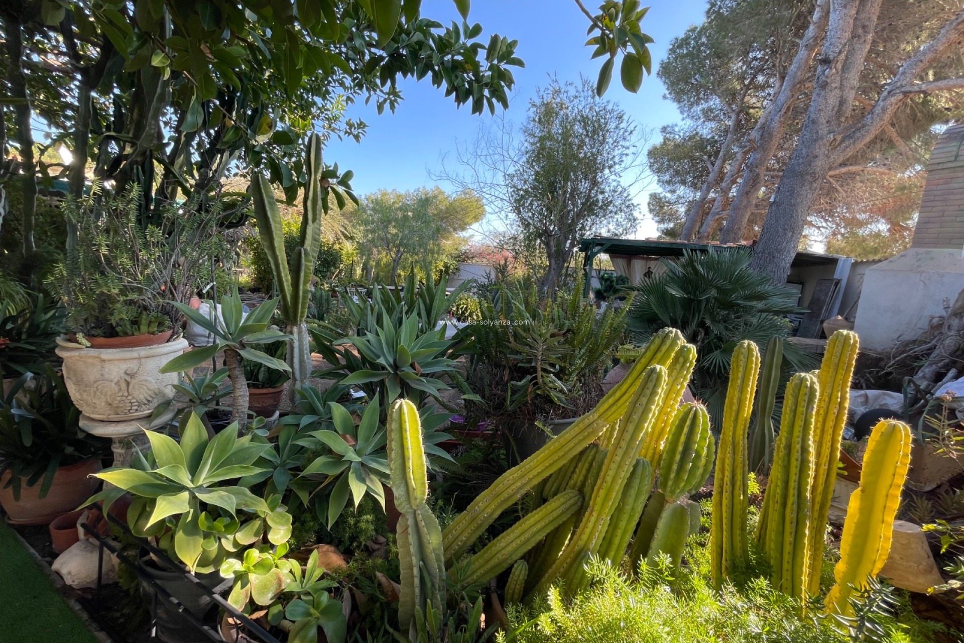 Revente - Villa - Orihuela Costa - Costa Blanca